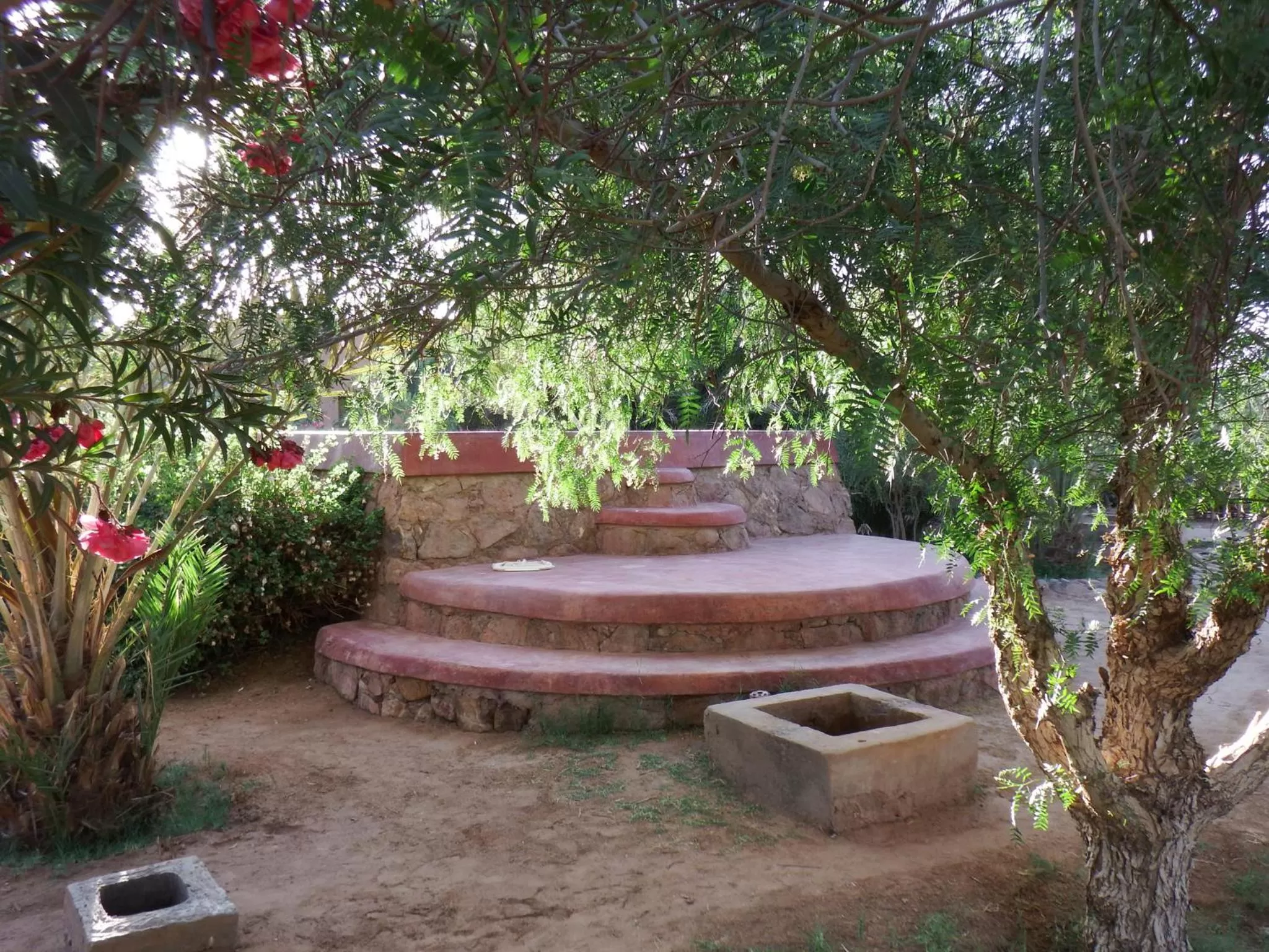 Swimming pool in Dar Paru