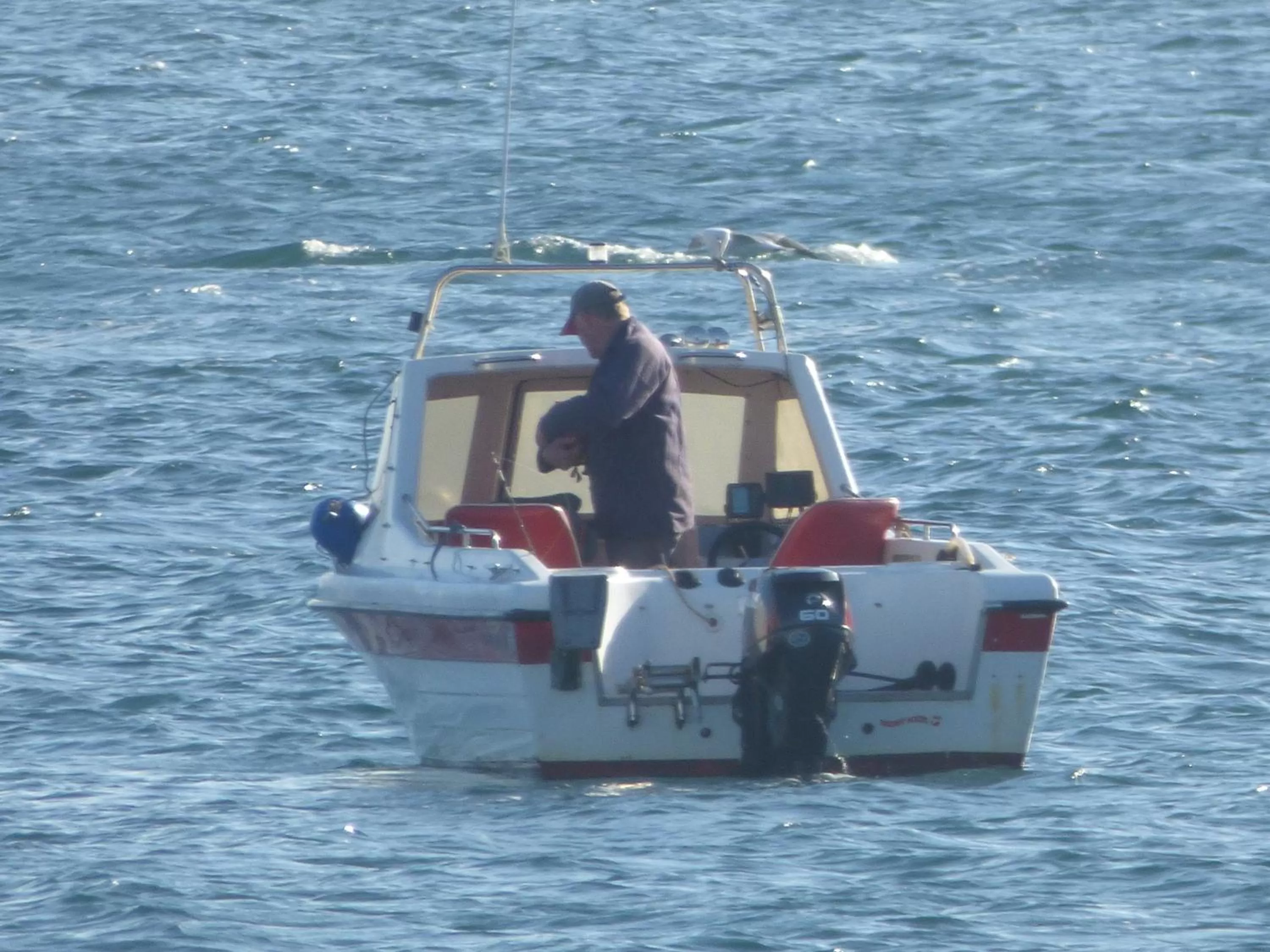 Area and facilities in Park View R & R - Adult Only - Self-Catering - Free Parking - EV Point