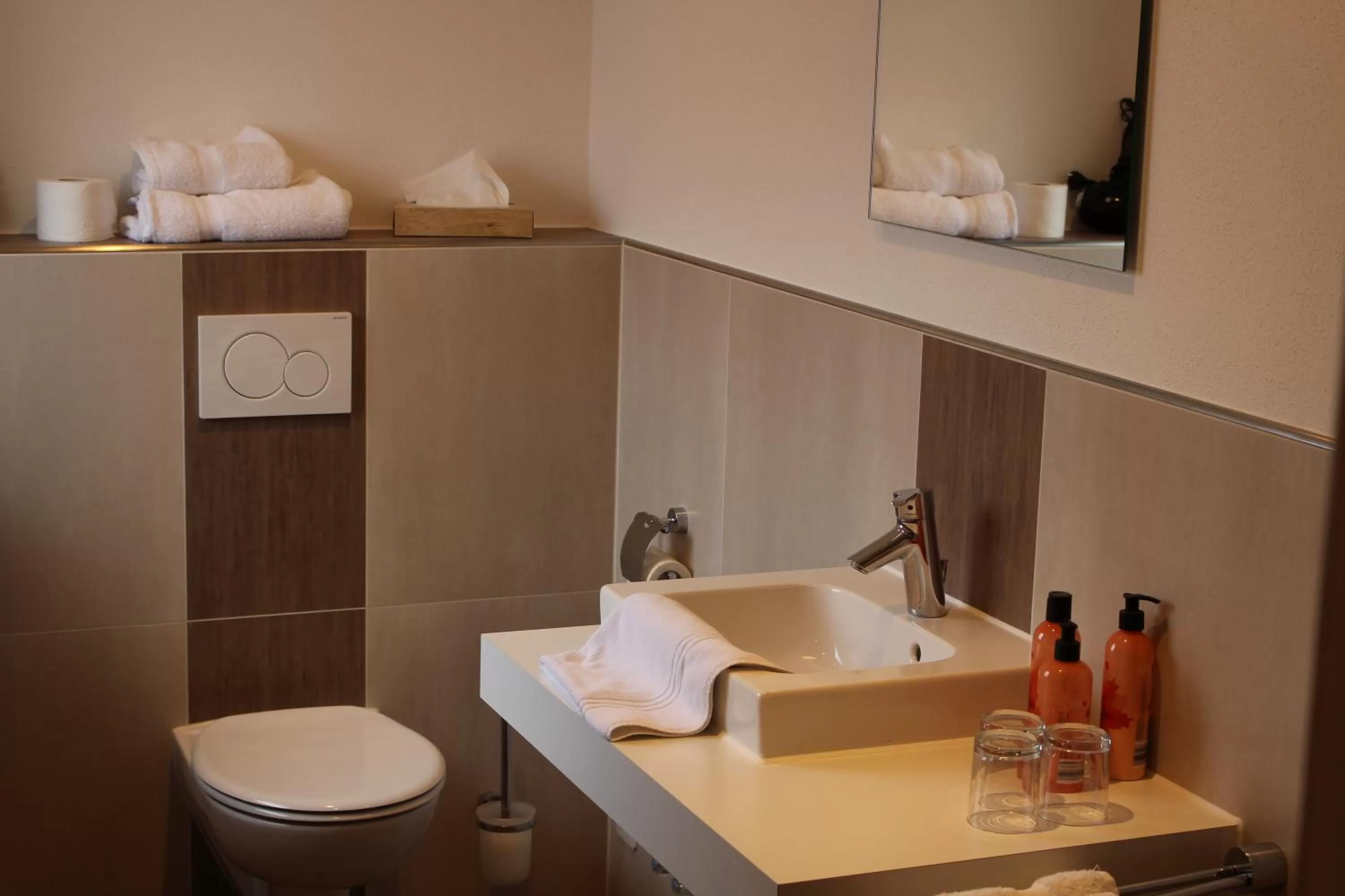 Bathroom in Gasthof Zur Seku