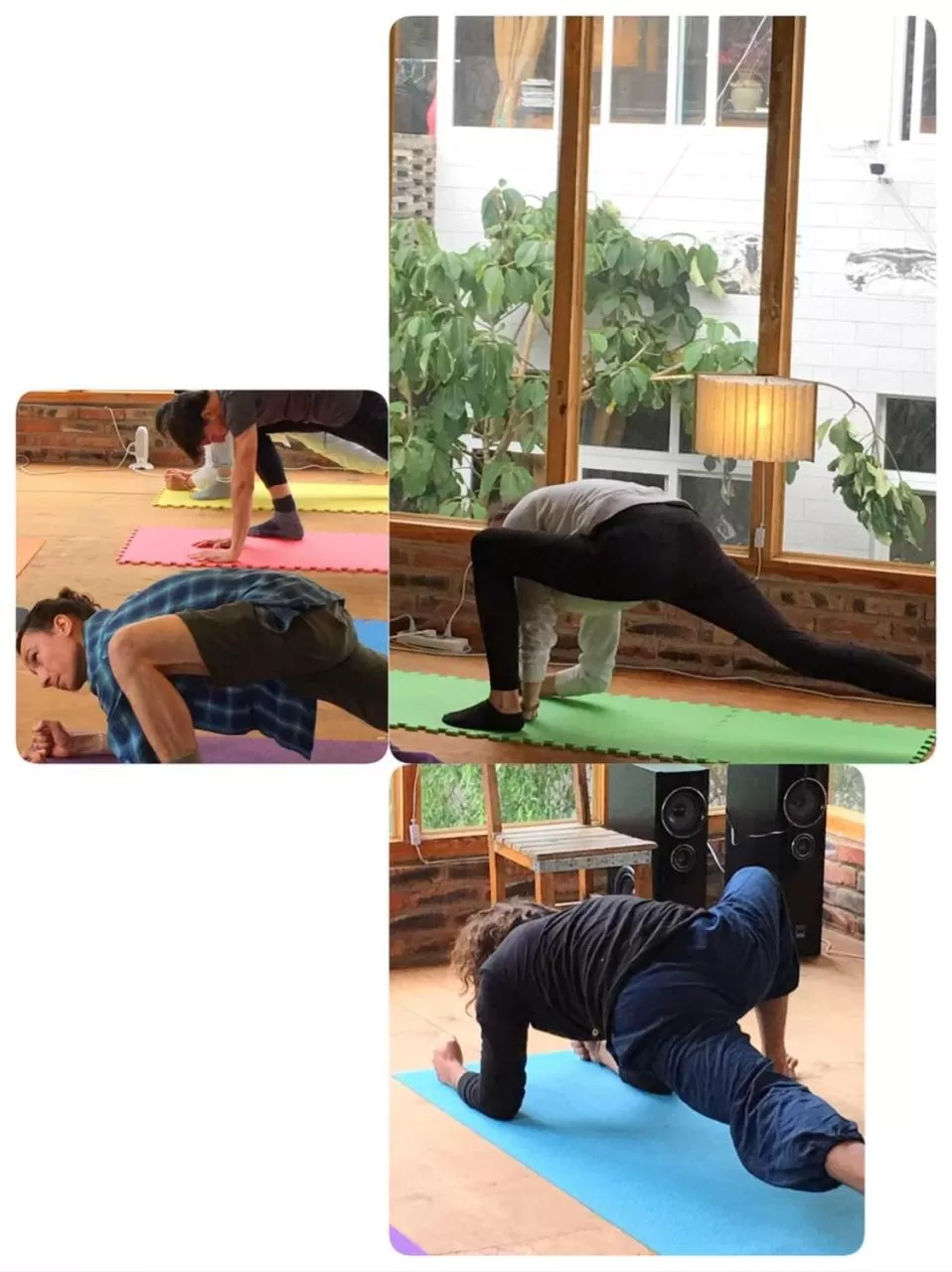 Activities in The Lily Pad Inn