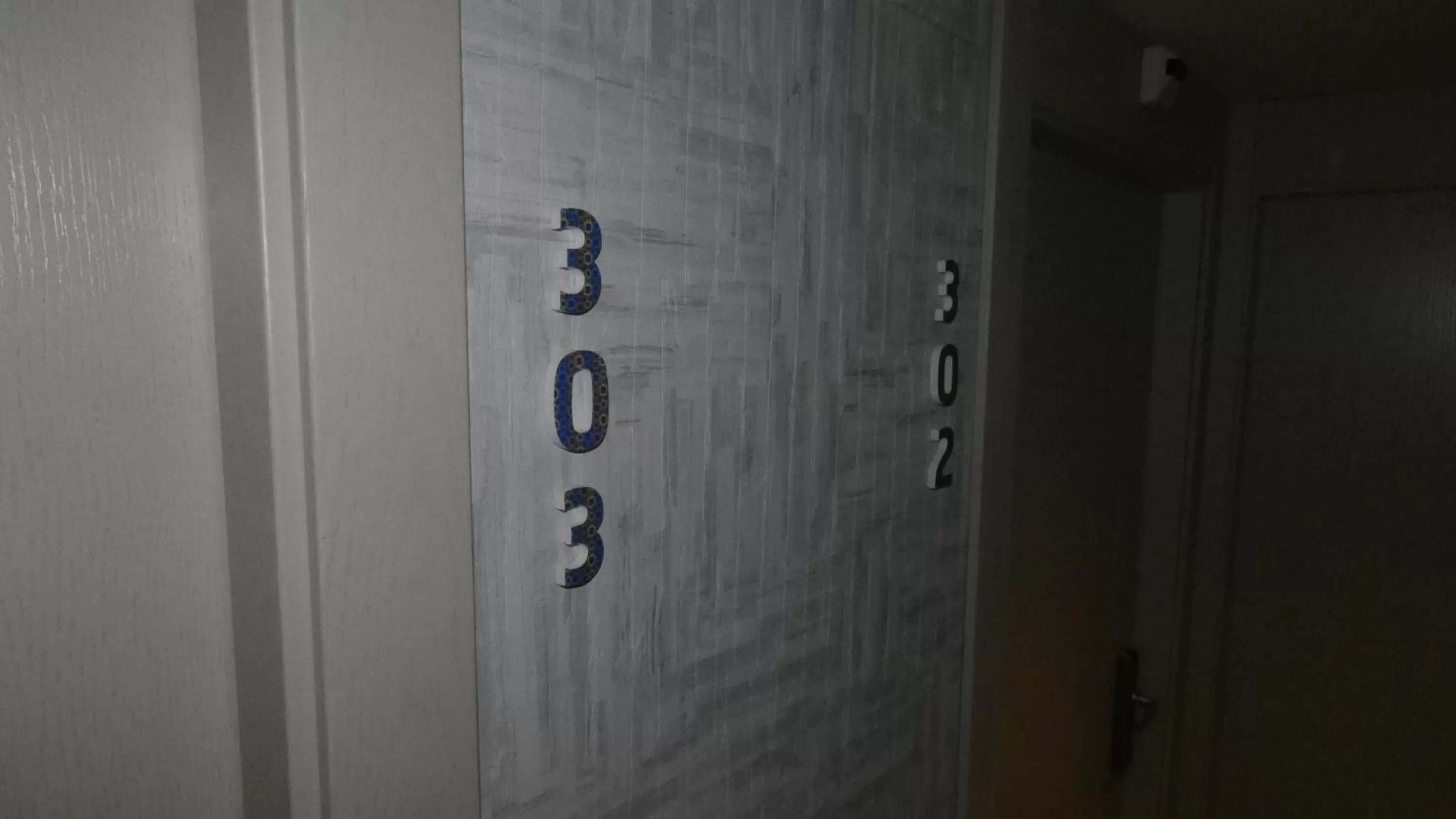 Area and facilities in Hotel Zeus