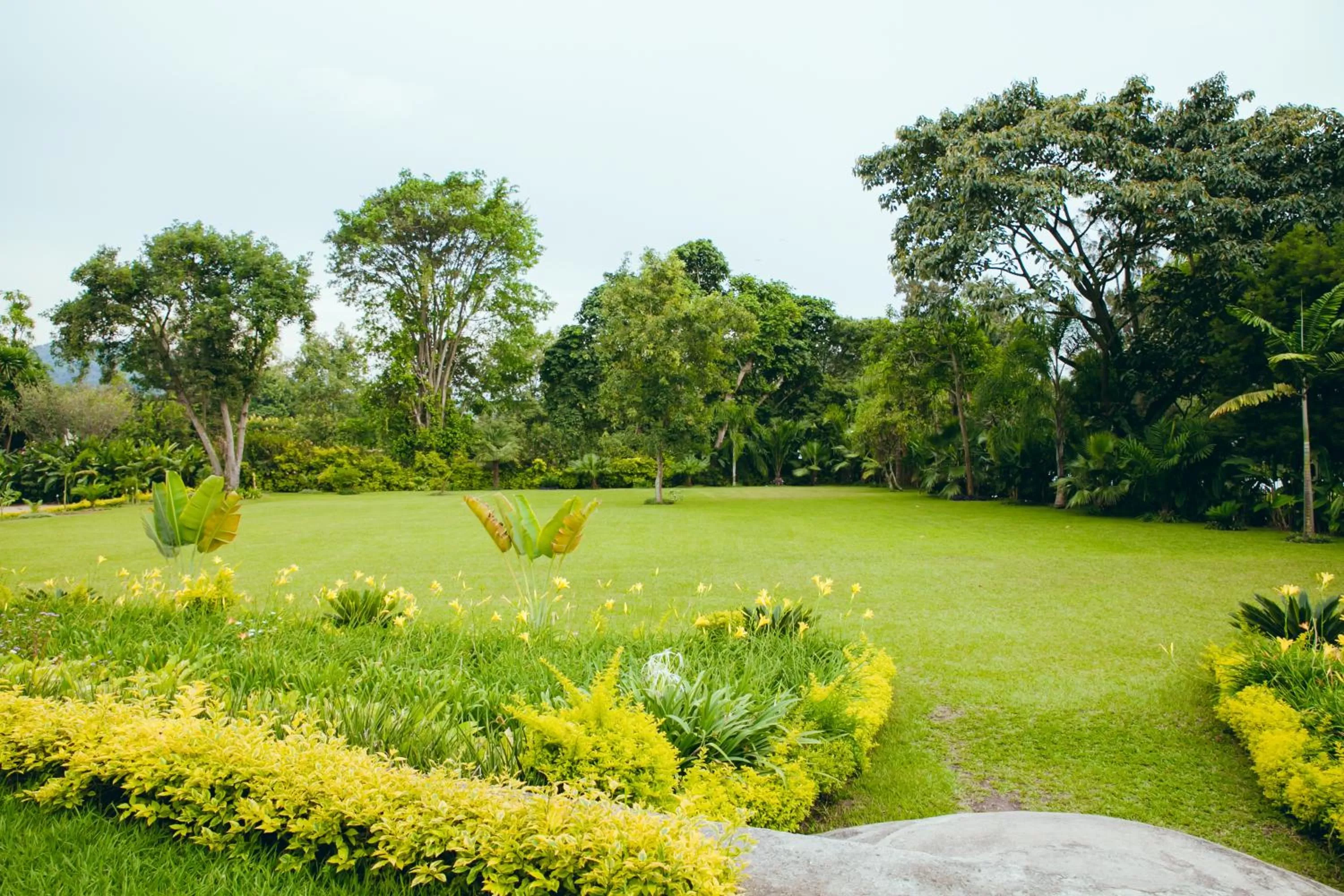 Garden in Gorillas Lake Kivu Hotel