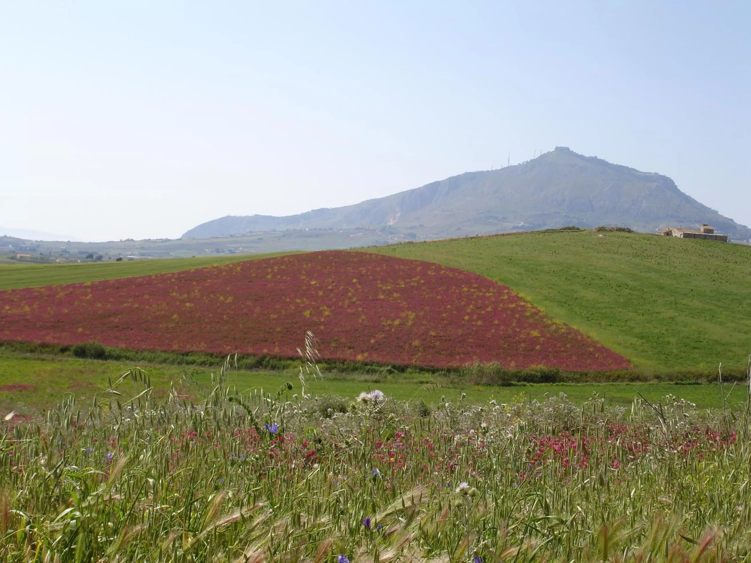 View (from property/room) in Candalù - Villa Giardinata