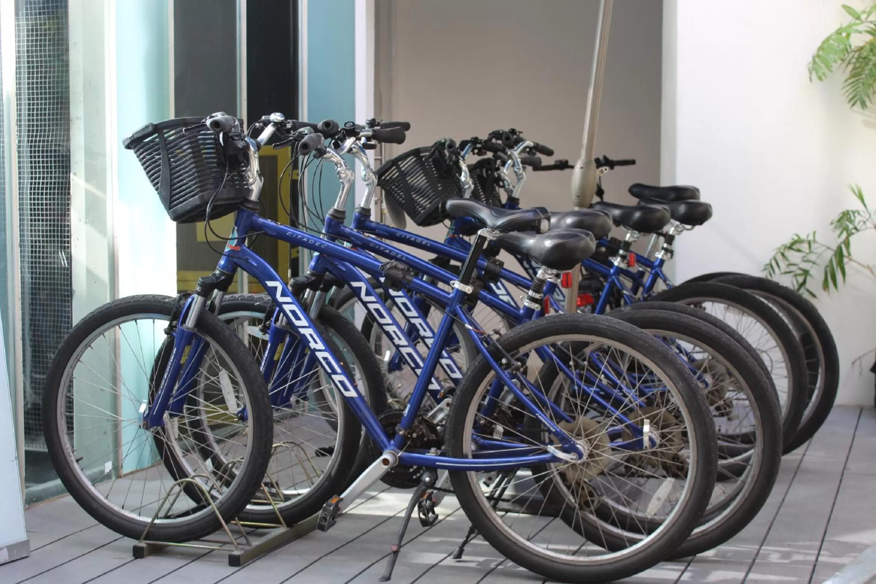 Cycling in Brown BoBo, a member of Brown Hotels