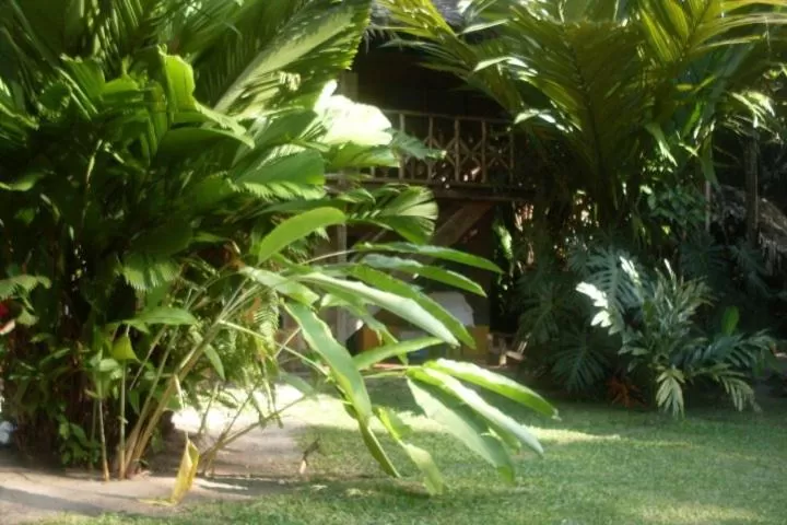 Garden in Hotel Salvador Gaviota