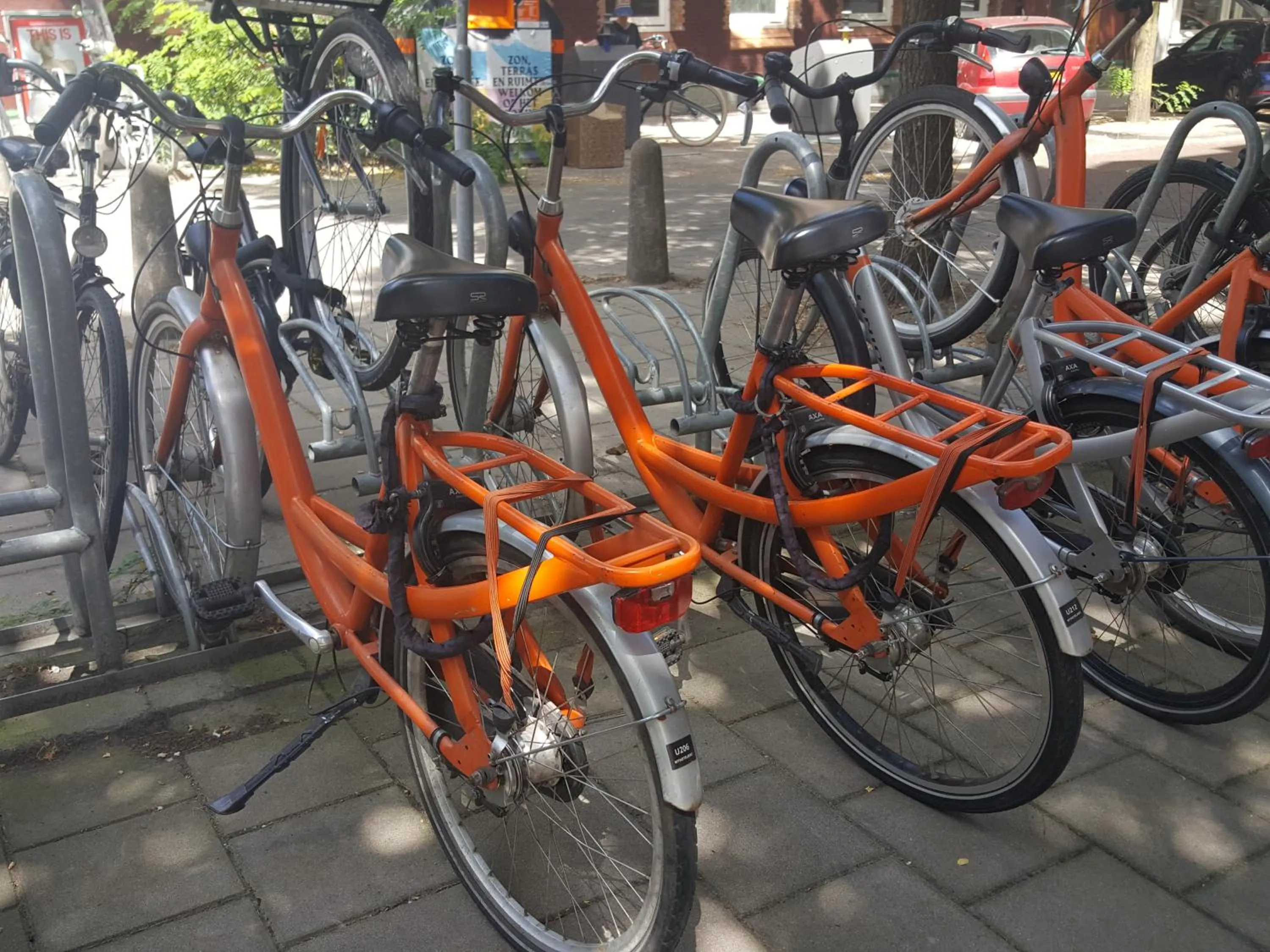 Cycling in Hotel Van Gogh