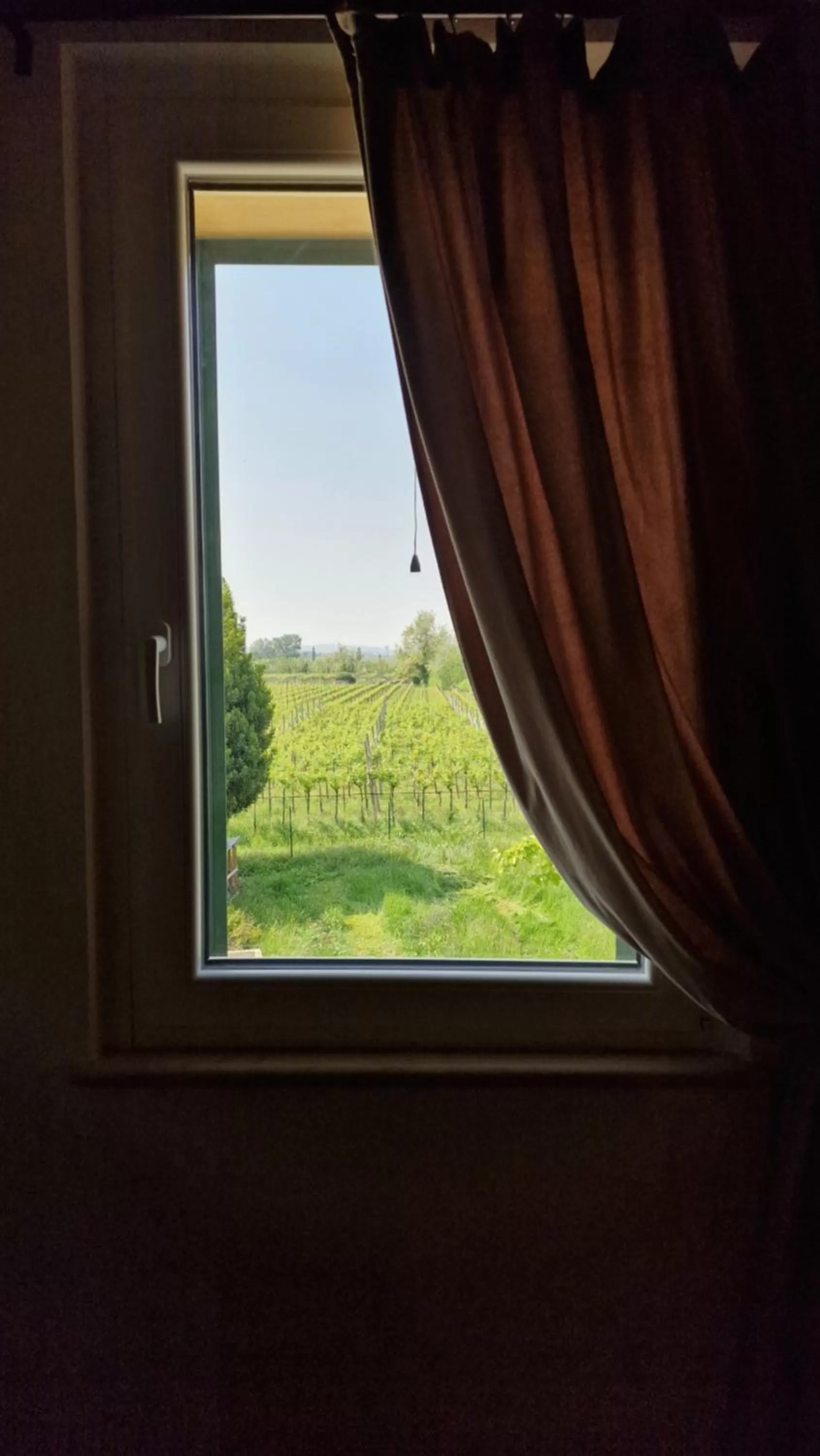 View (from property/room) in Casa Ossan