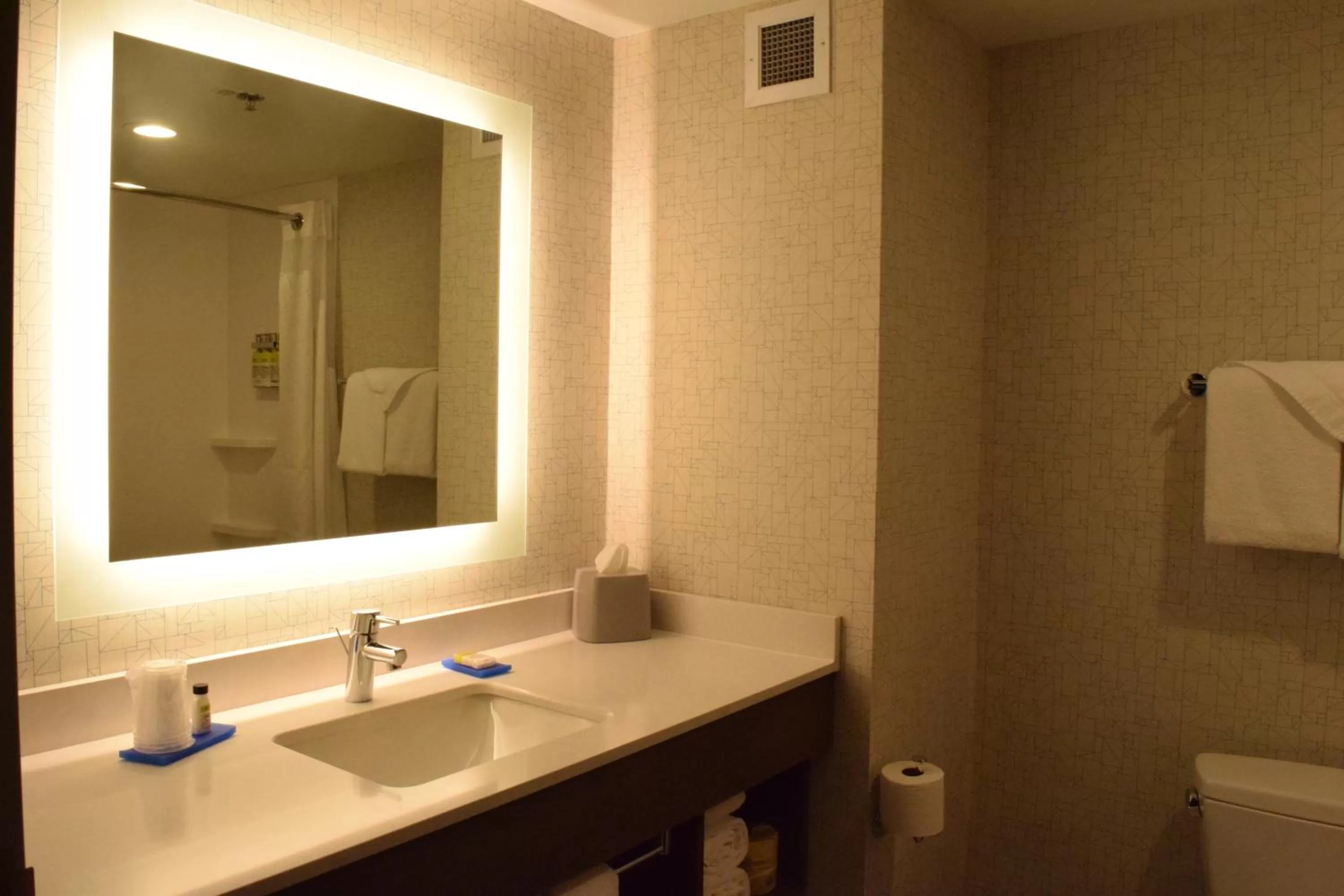Twin Room - Mobility Access/Hearing Accessible in Holiday Inn Express Hotel & Suites Rochester Webster, an IHG Hotel