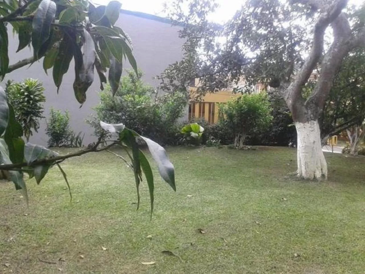 Other in Casa Echavarria