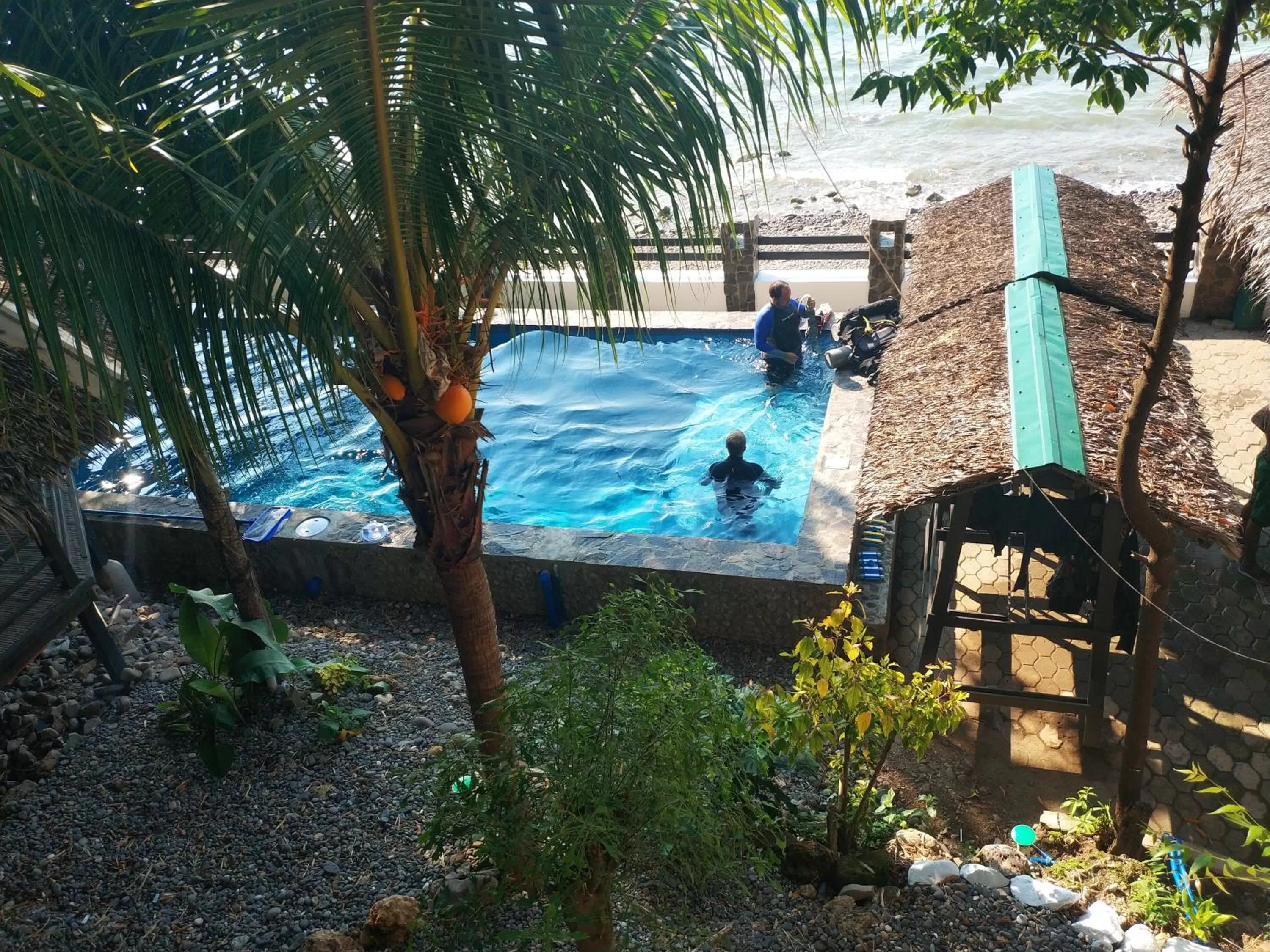Blue Ribbon Dive Resort