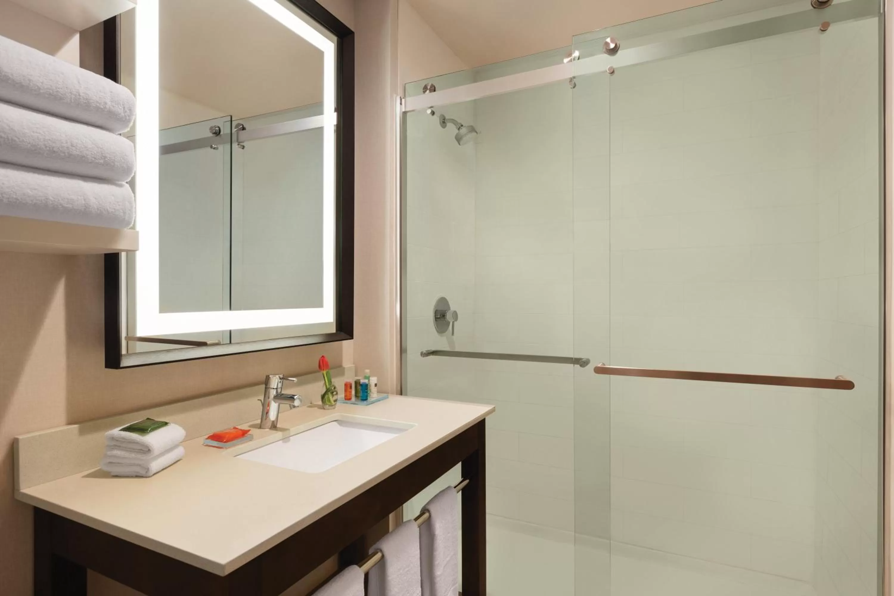 Shower in Radisson Hotel Oklahoma City Airport