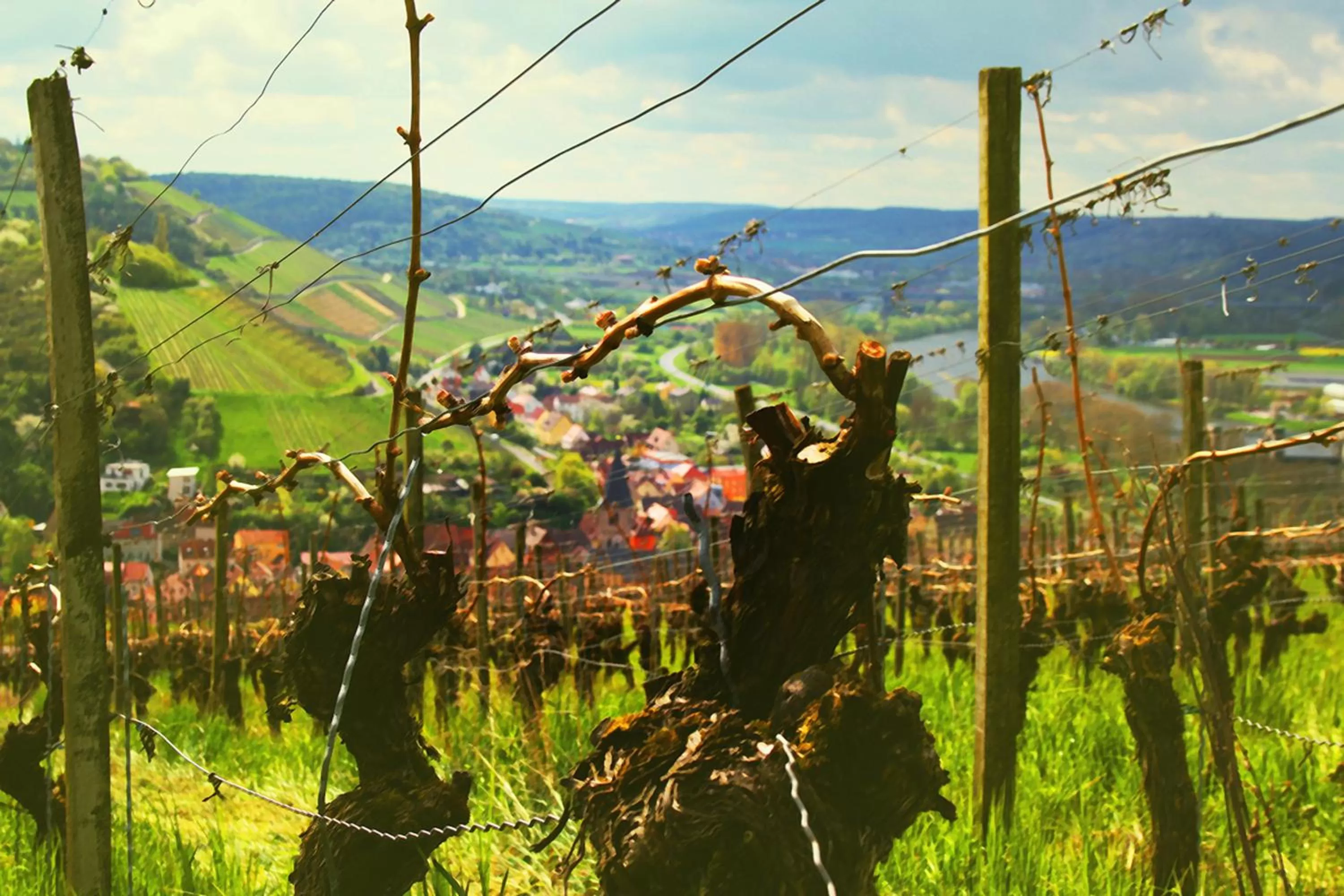 Neighbourhood in Brunnenhof Randersacker - das kleine Hotel