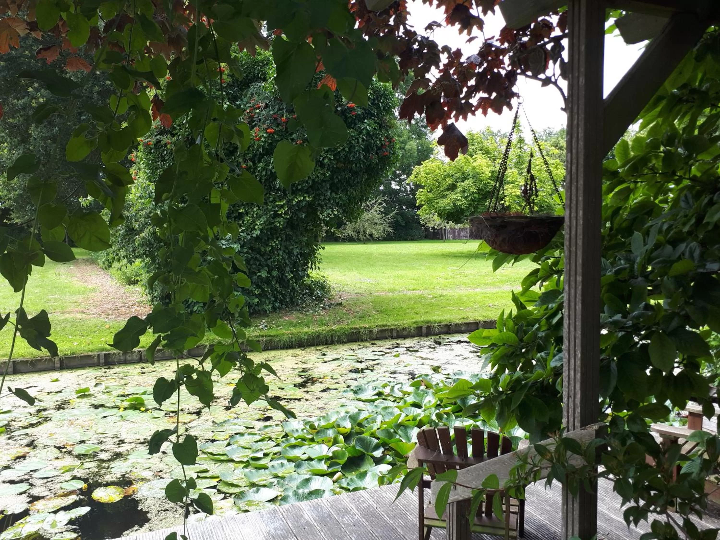 Garden view in B&B Het Molensteegje