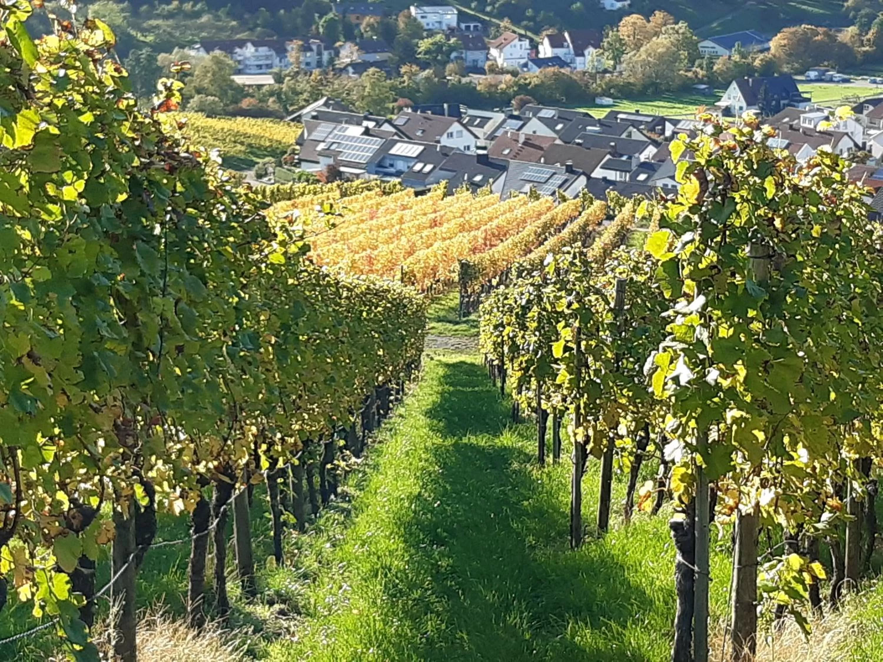 Natural landscape in Remstal Hotel