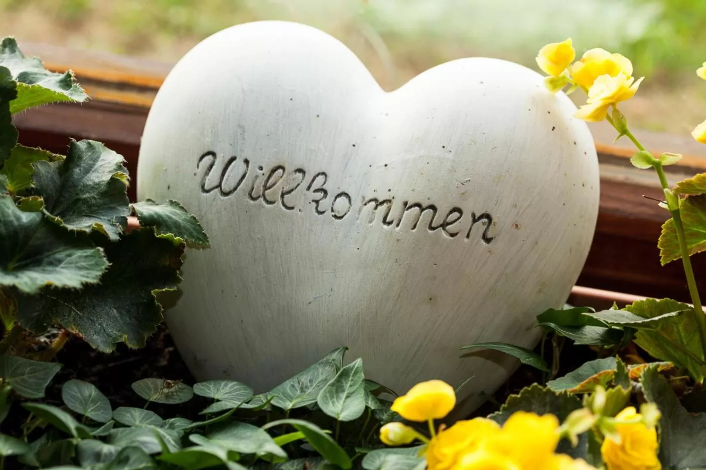 Other in Genusshotel Hohenbogen