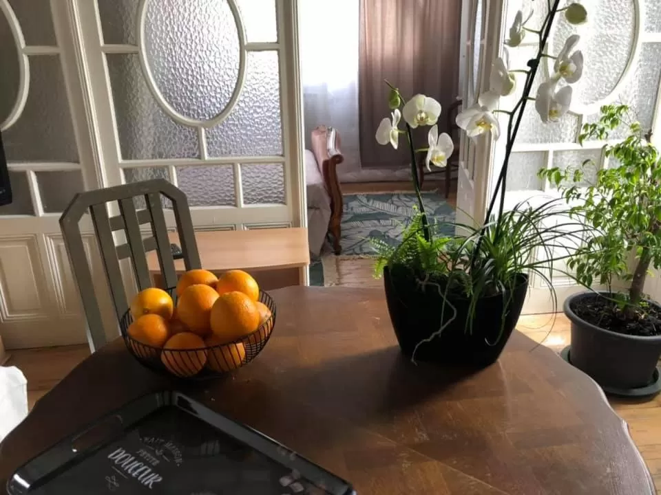 Les Terrasses d'Angoulême