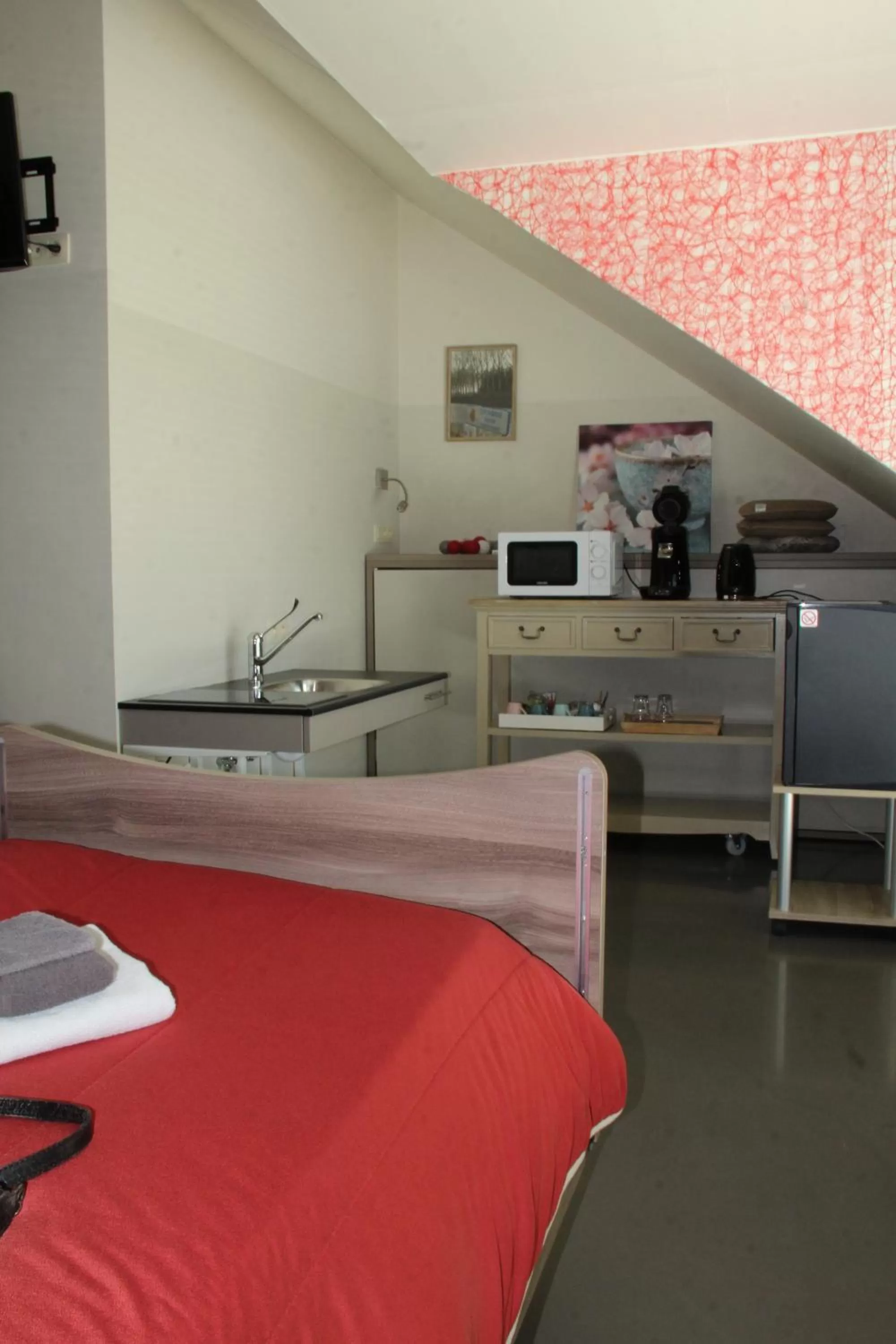 Kitchen or kitchenette, Kitchen/Kitchenette in B&B Altijd Genieten