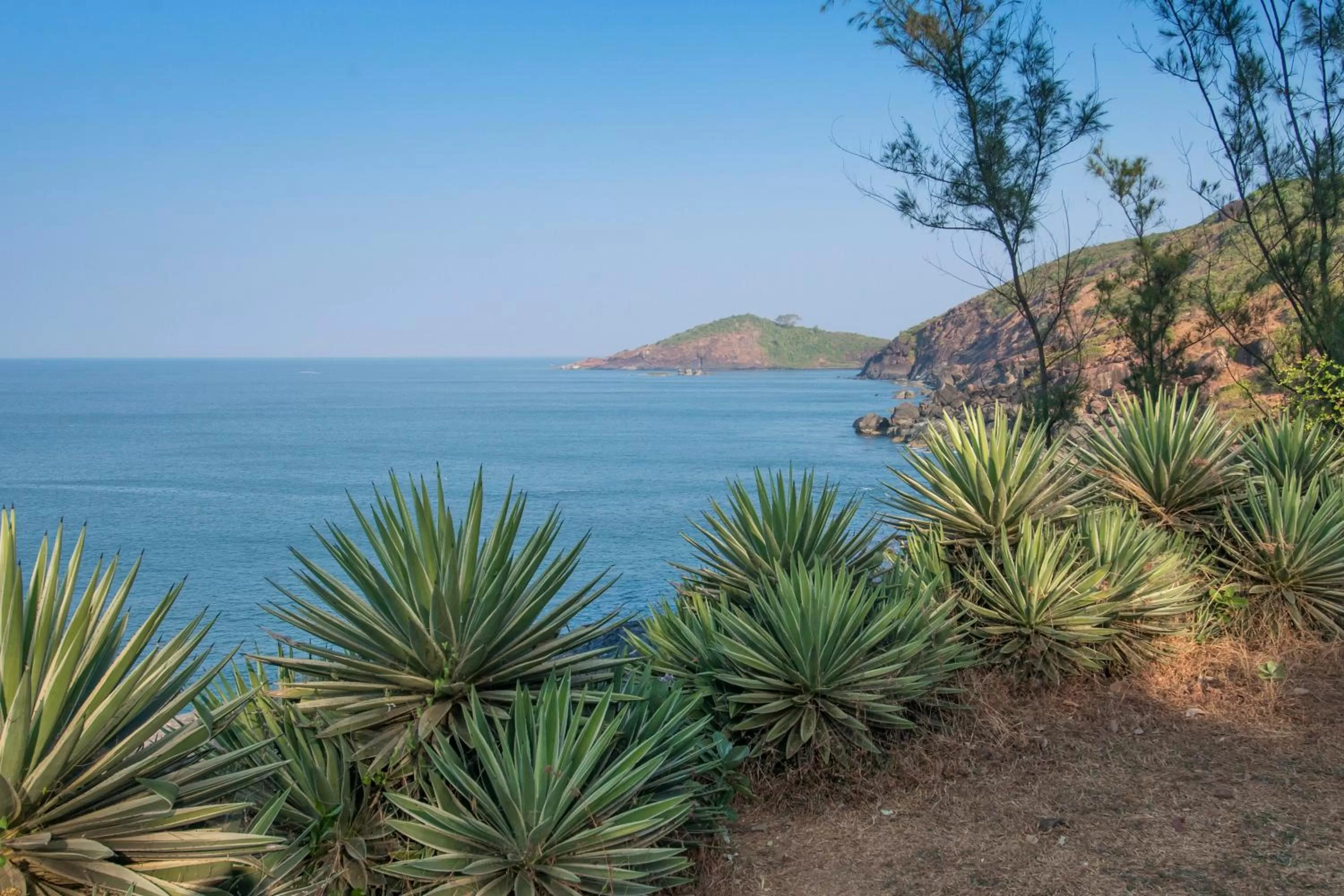 Natural landscape in Red Earth - Gokarna