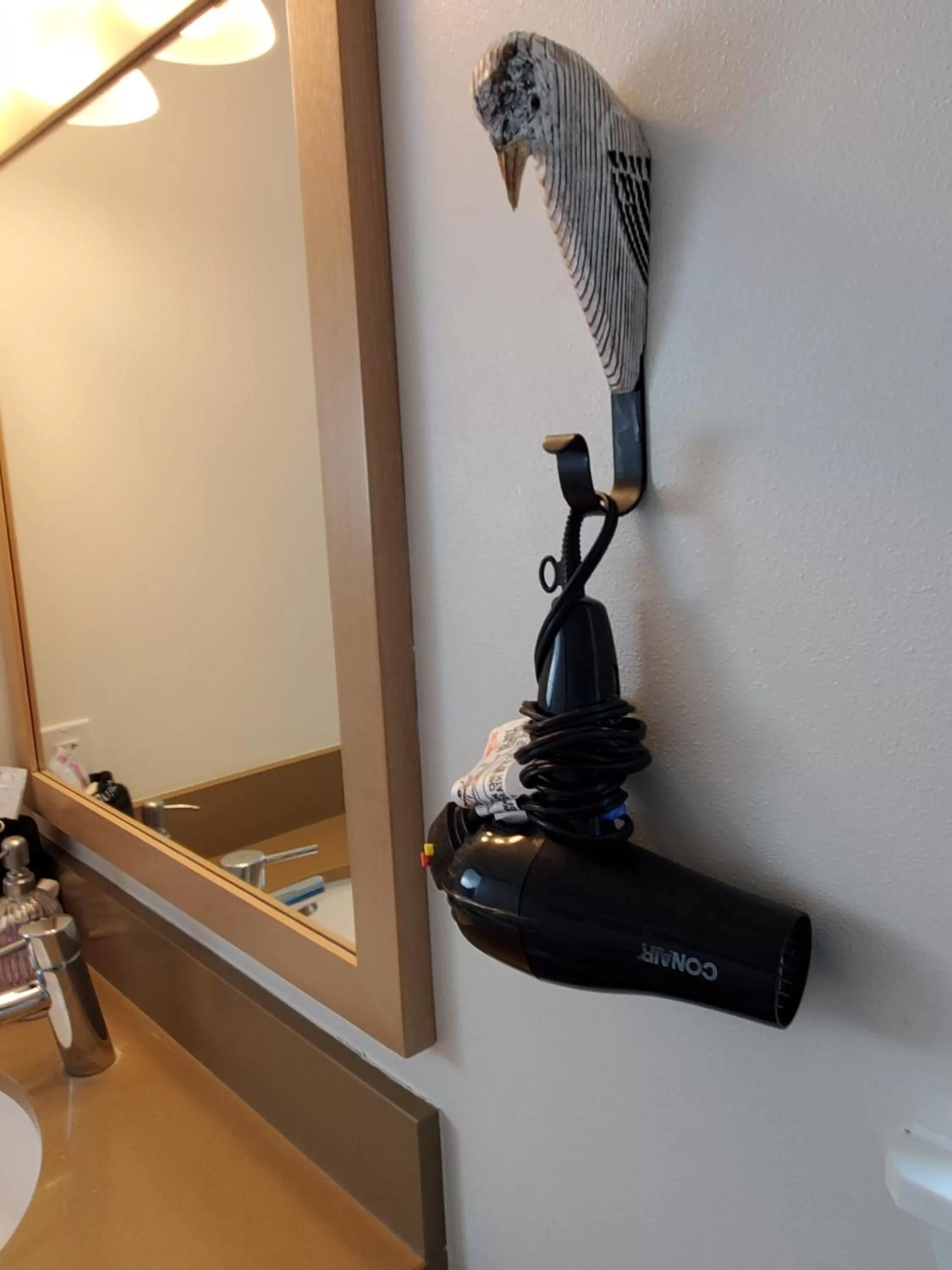 Shower in Moonstone Beach Motel