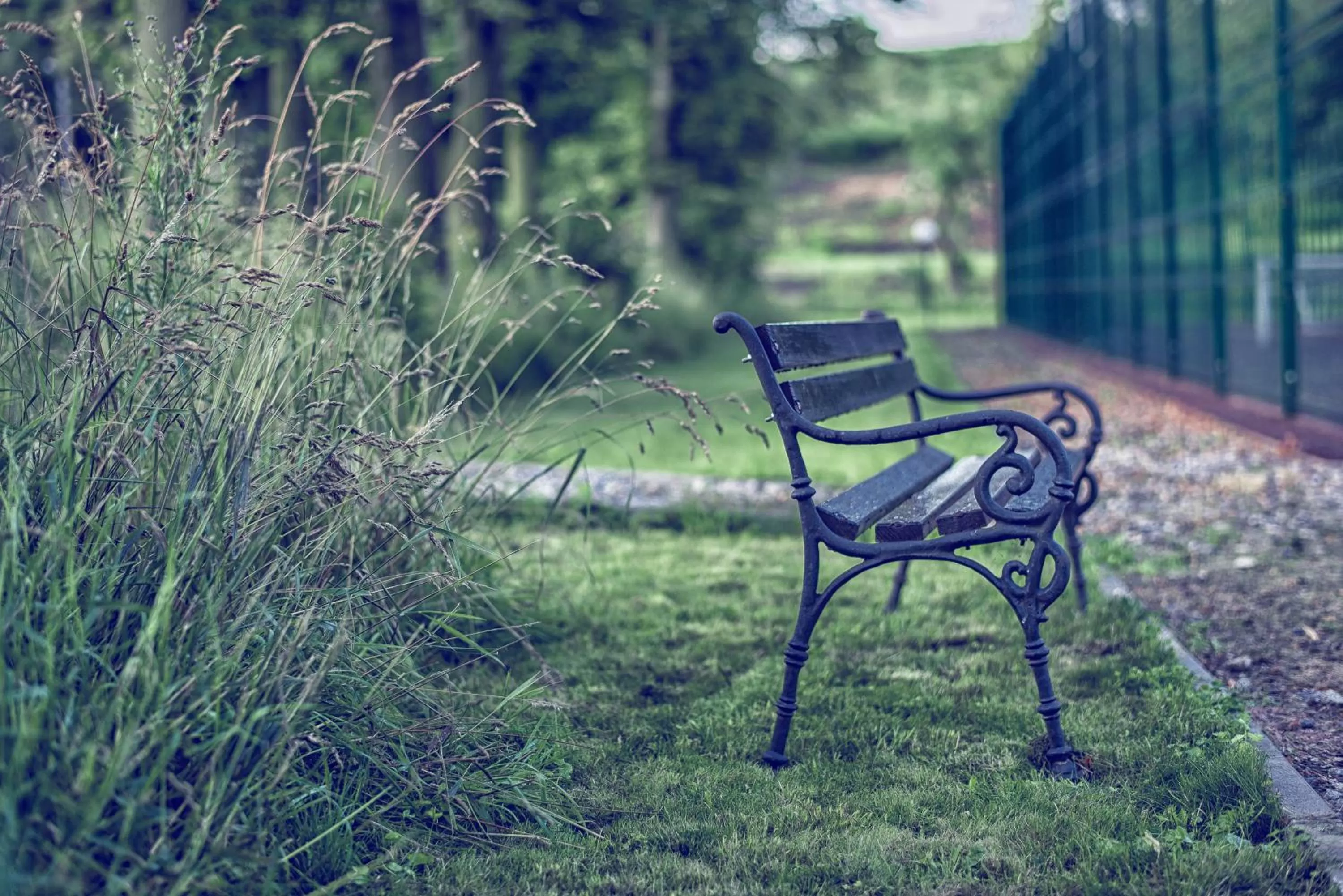 Garden in Hotel Niemcza Wino & Spa