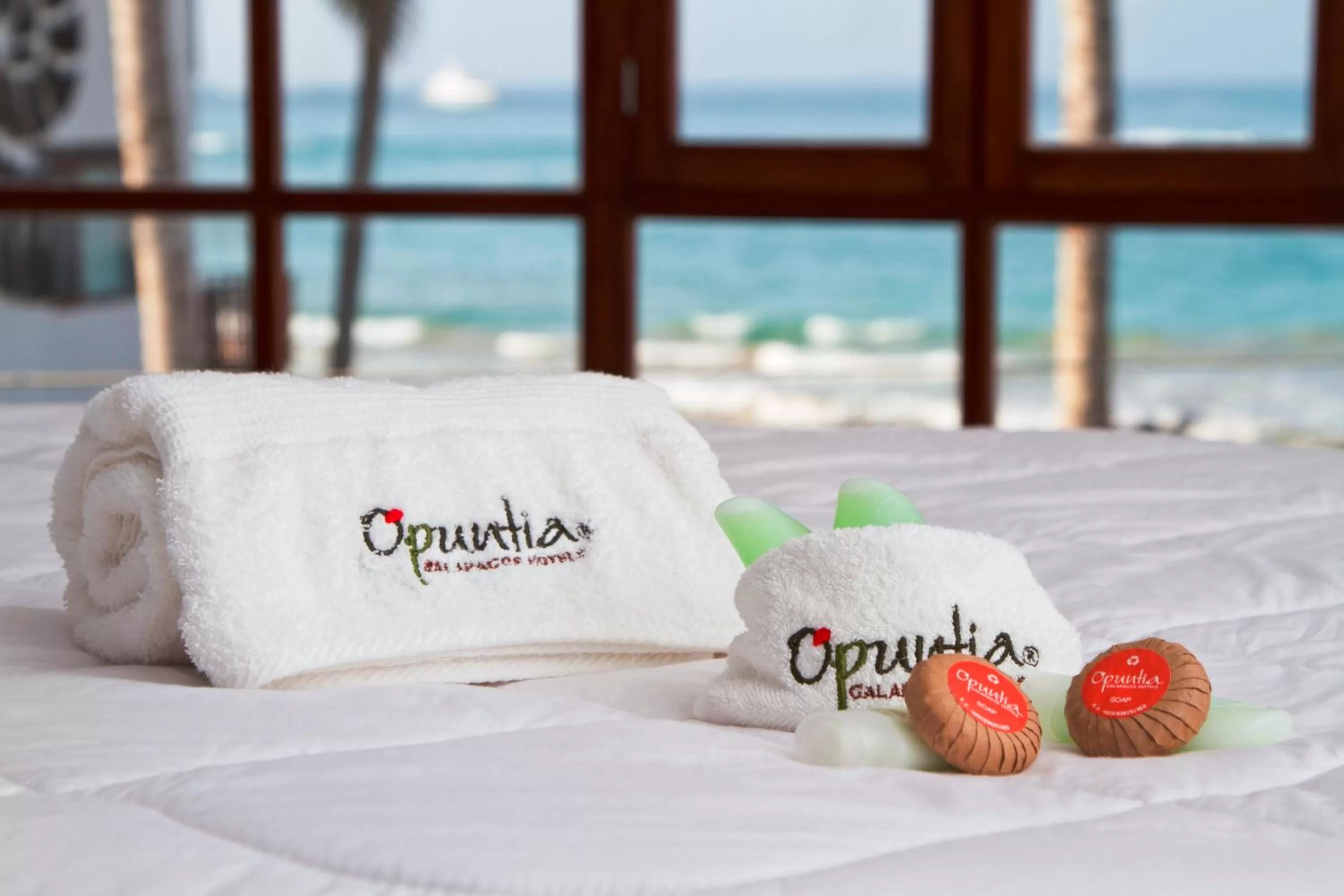 Toilet in Hotel Volcano