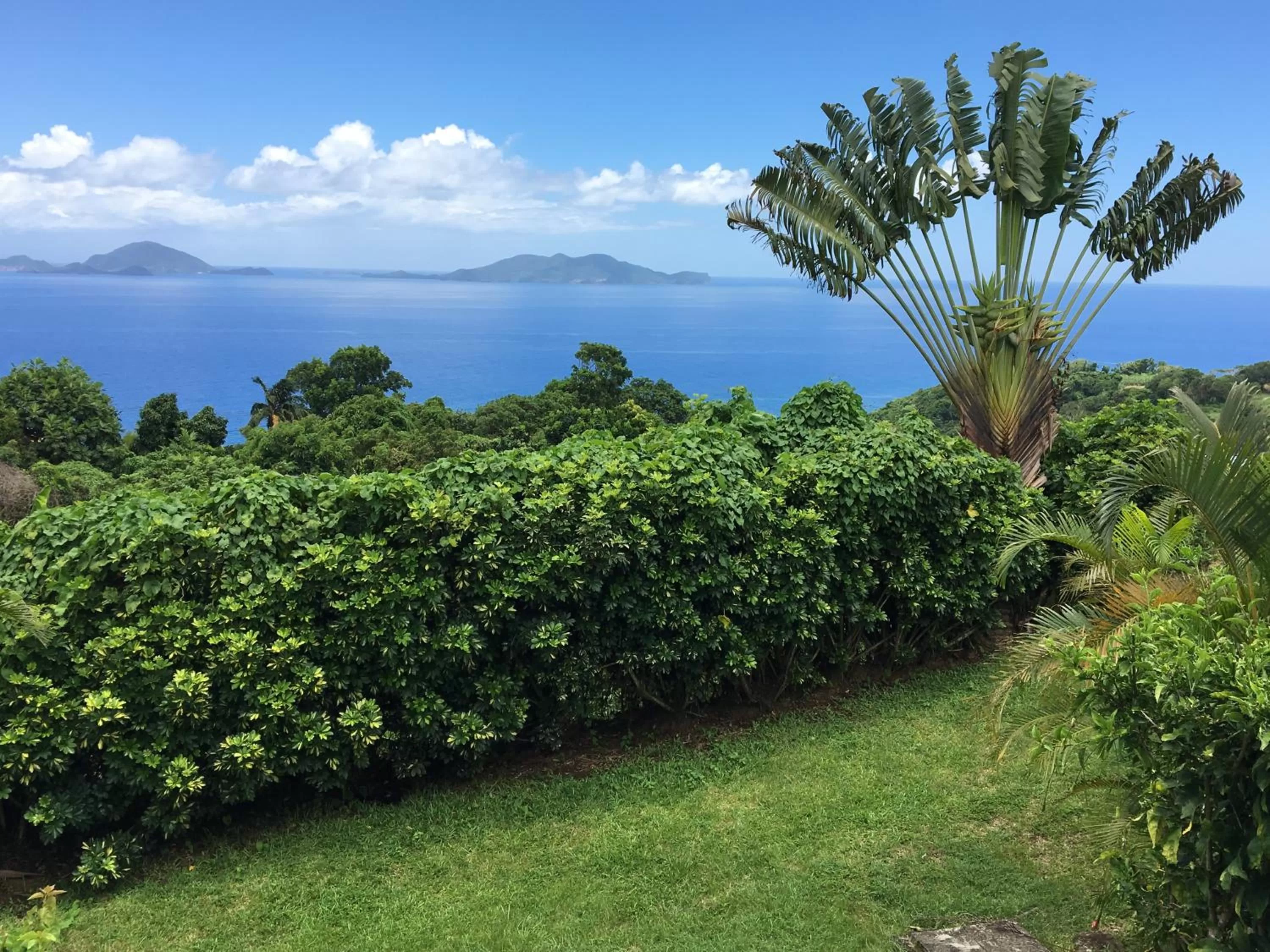 Villa Cajou (Chambre d'hôtes chez l'habitant)