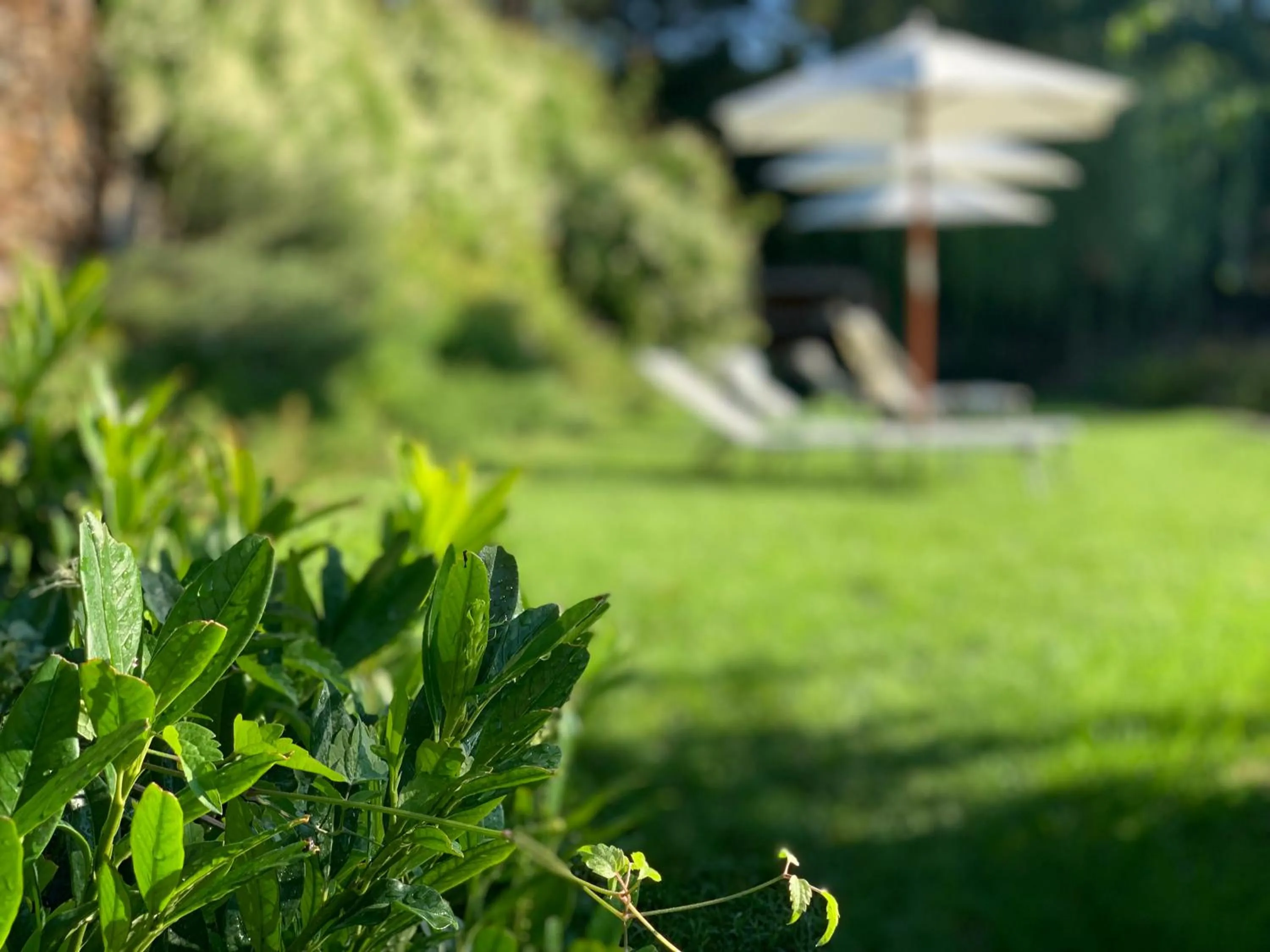 Garden in Hotel Landhaus Moserhof