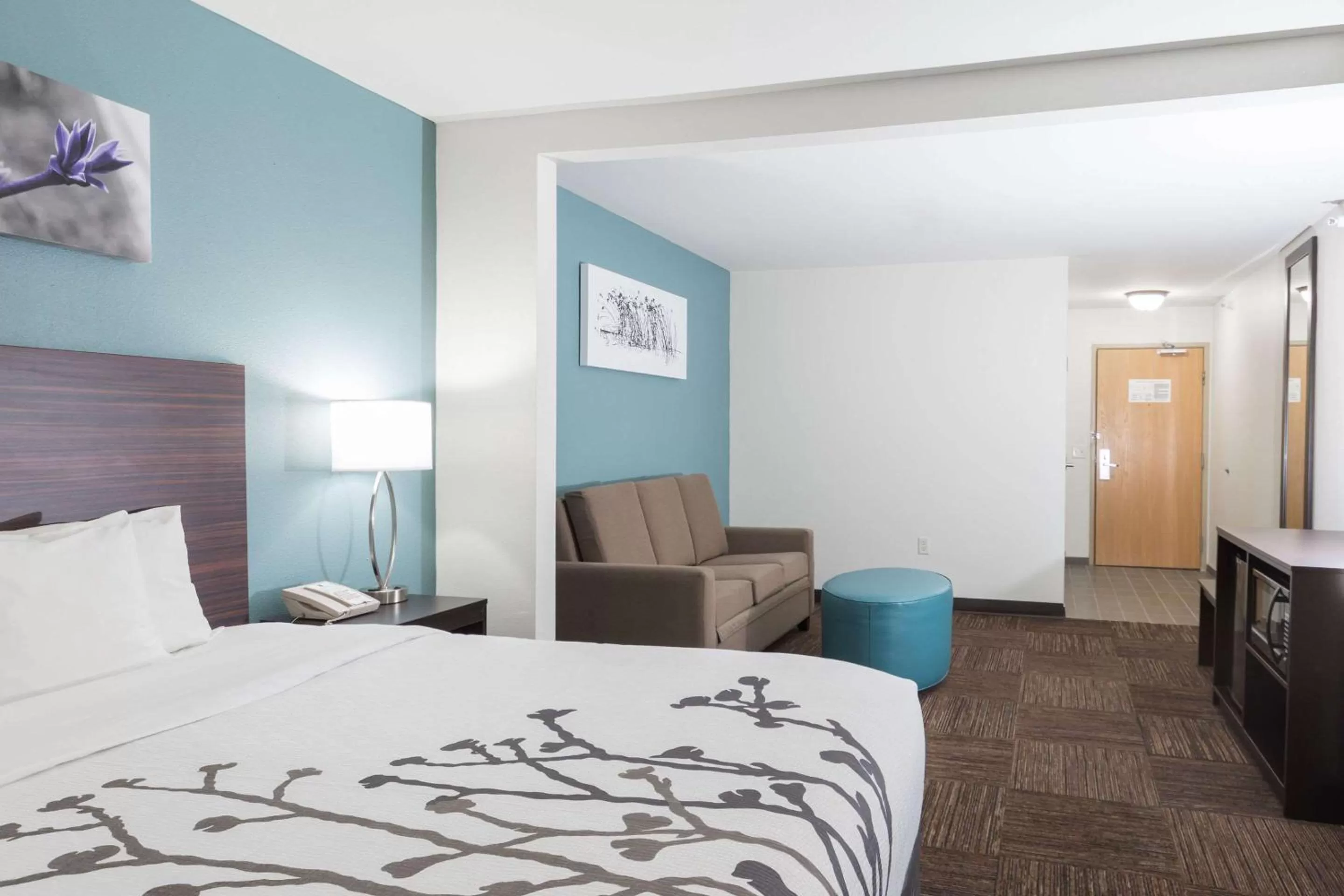 Bedroom, Bed in Sleep Inn & Suites Washington near Peoria