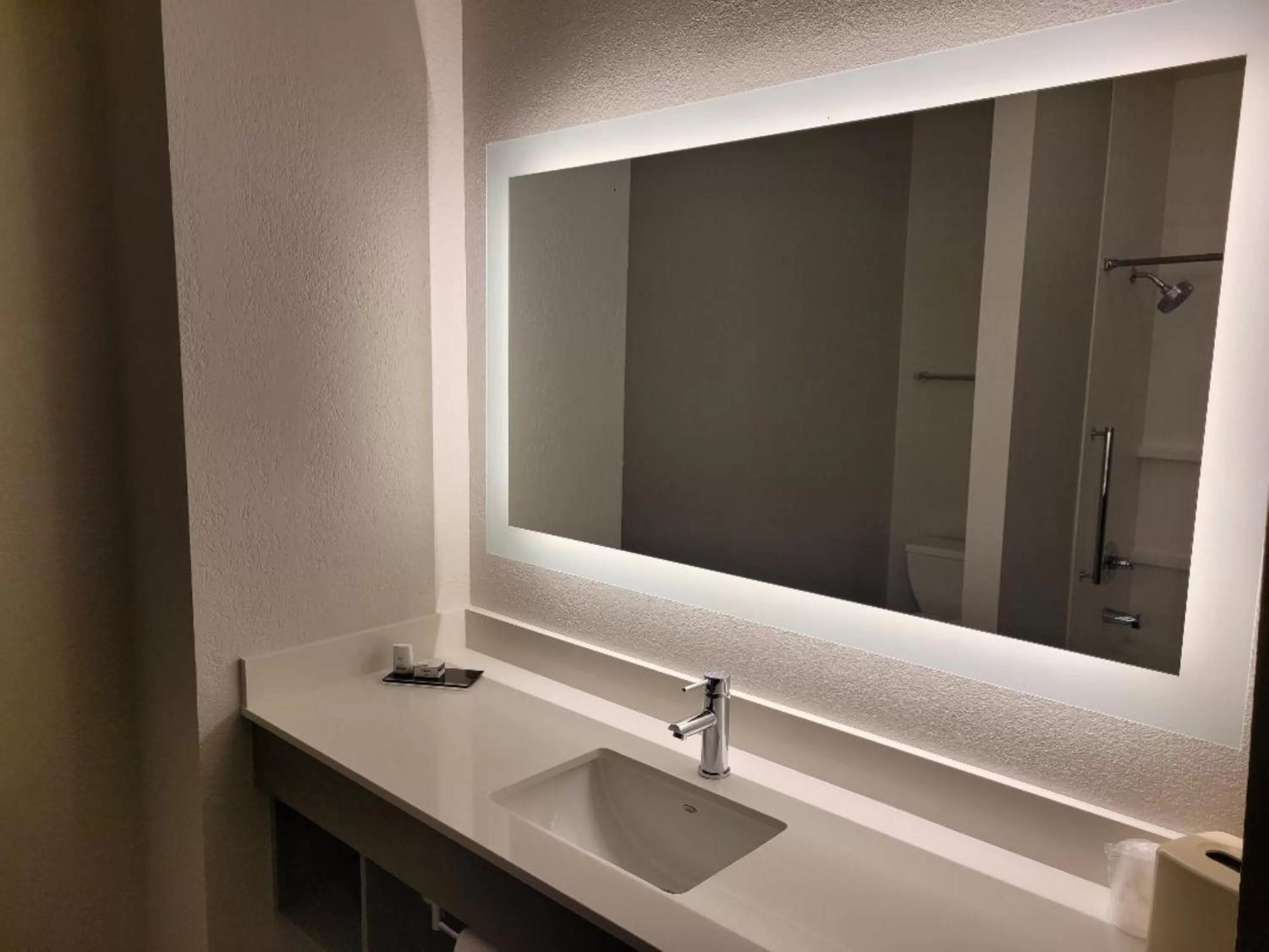 Photo of the whole room, Bathroom in Holiday Inn Express Hotel & Suites Starkville, an IHG Hotel