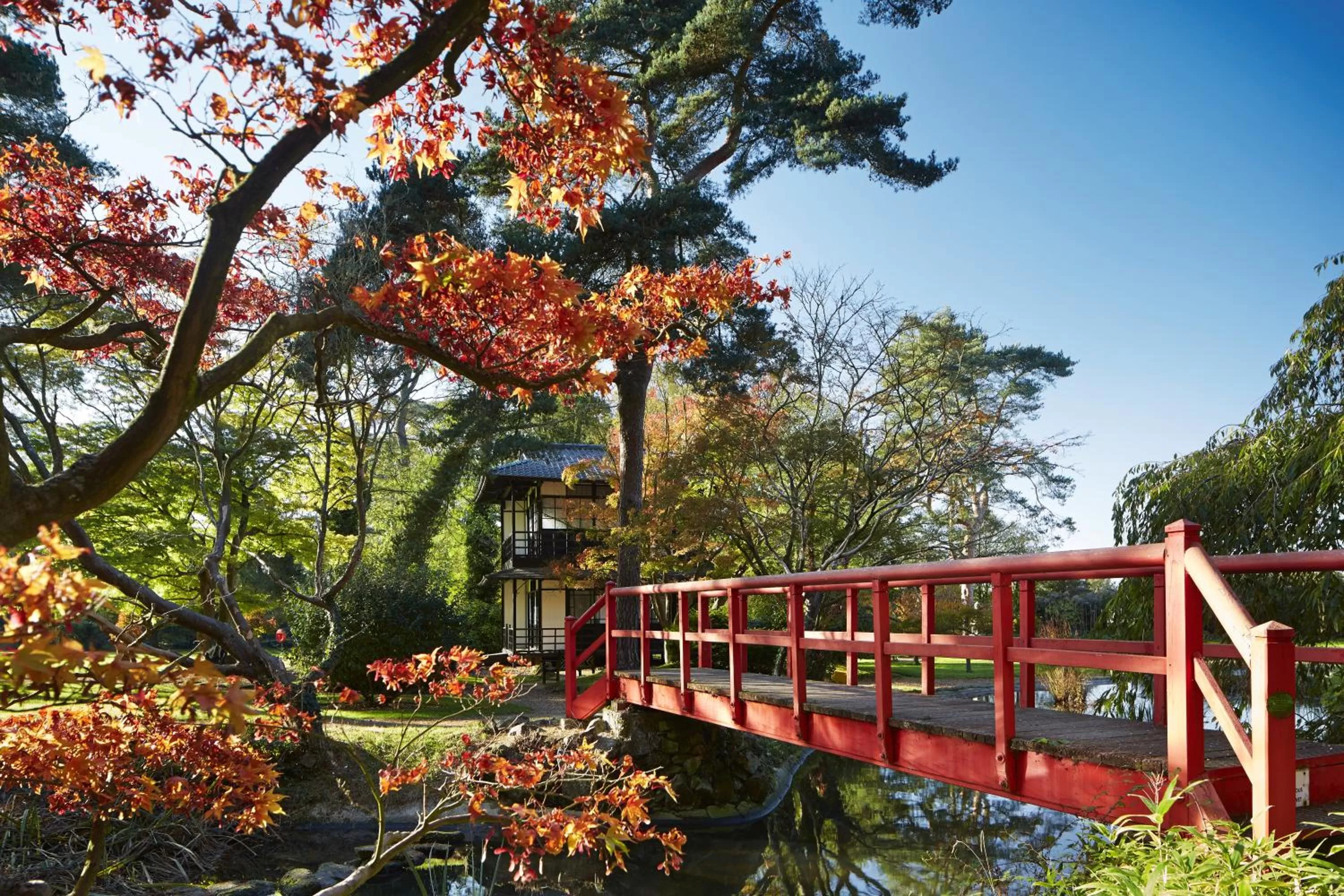 Garden in Fanhams Hall, Exclusive Collection