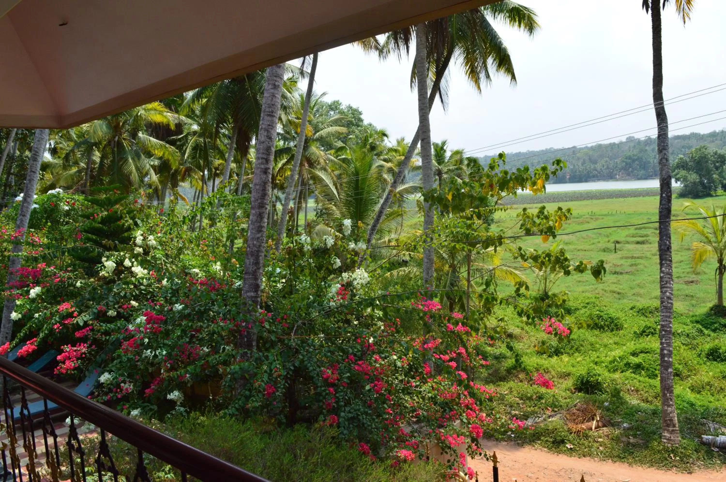 Garden view in Ganesh Ayurveda Holiday Home