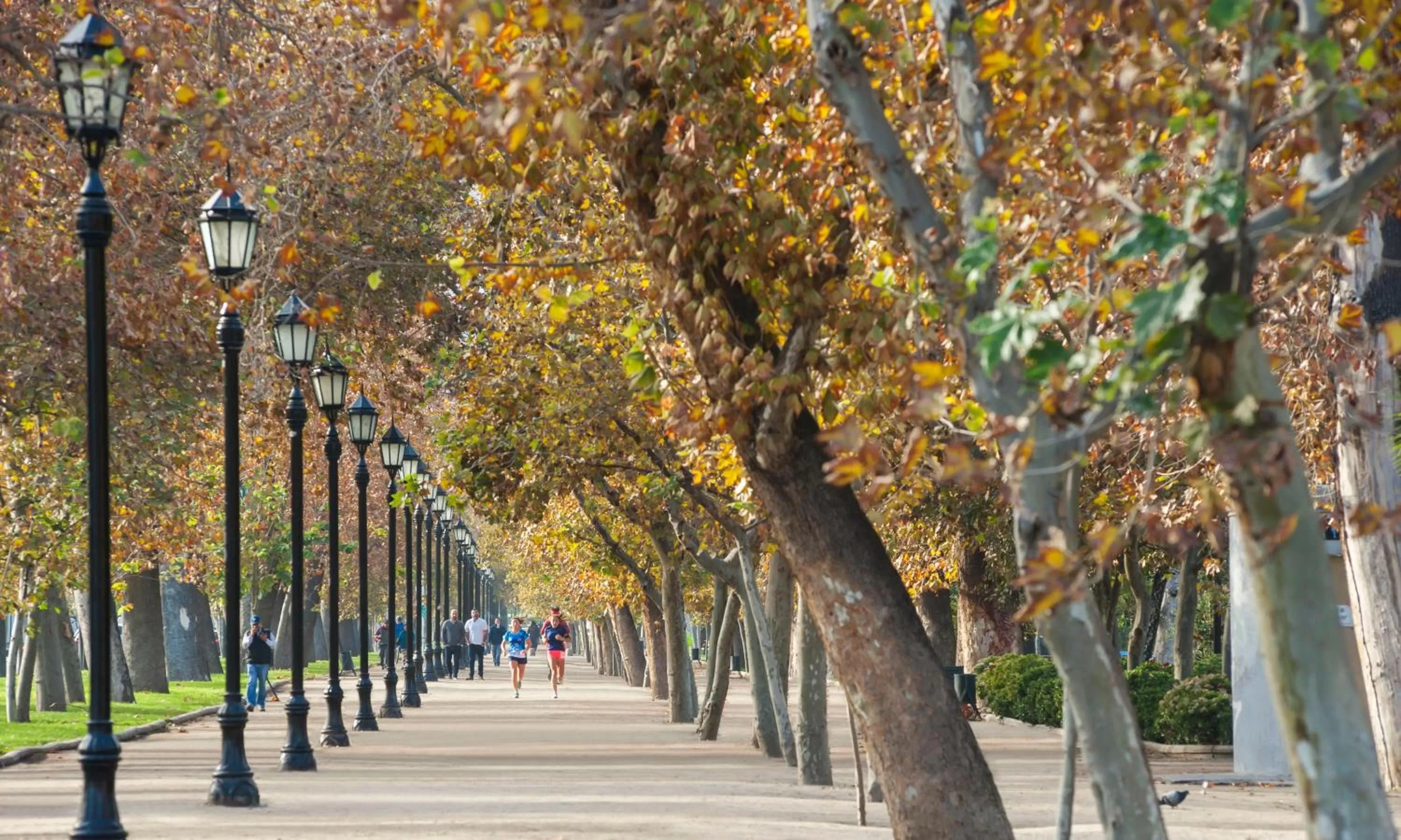 Sports in Hotel Ismael