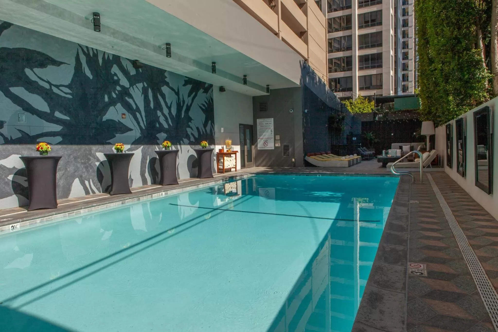 Swimming pool in Kimpton Hotel Palomar Los Angeles Beverly Hills by IHG