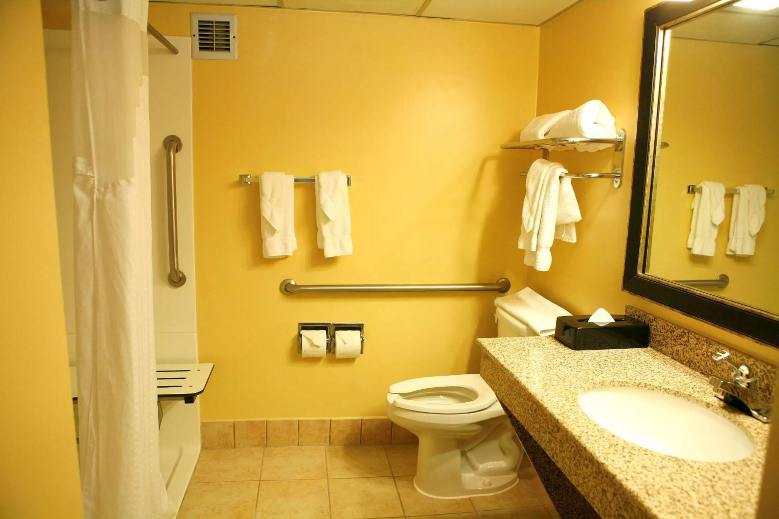 Bathroom in Best Western Plus Goldsboro