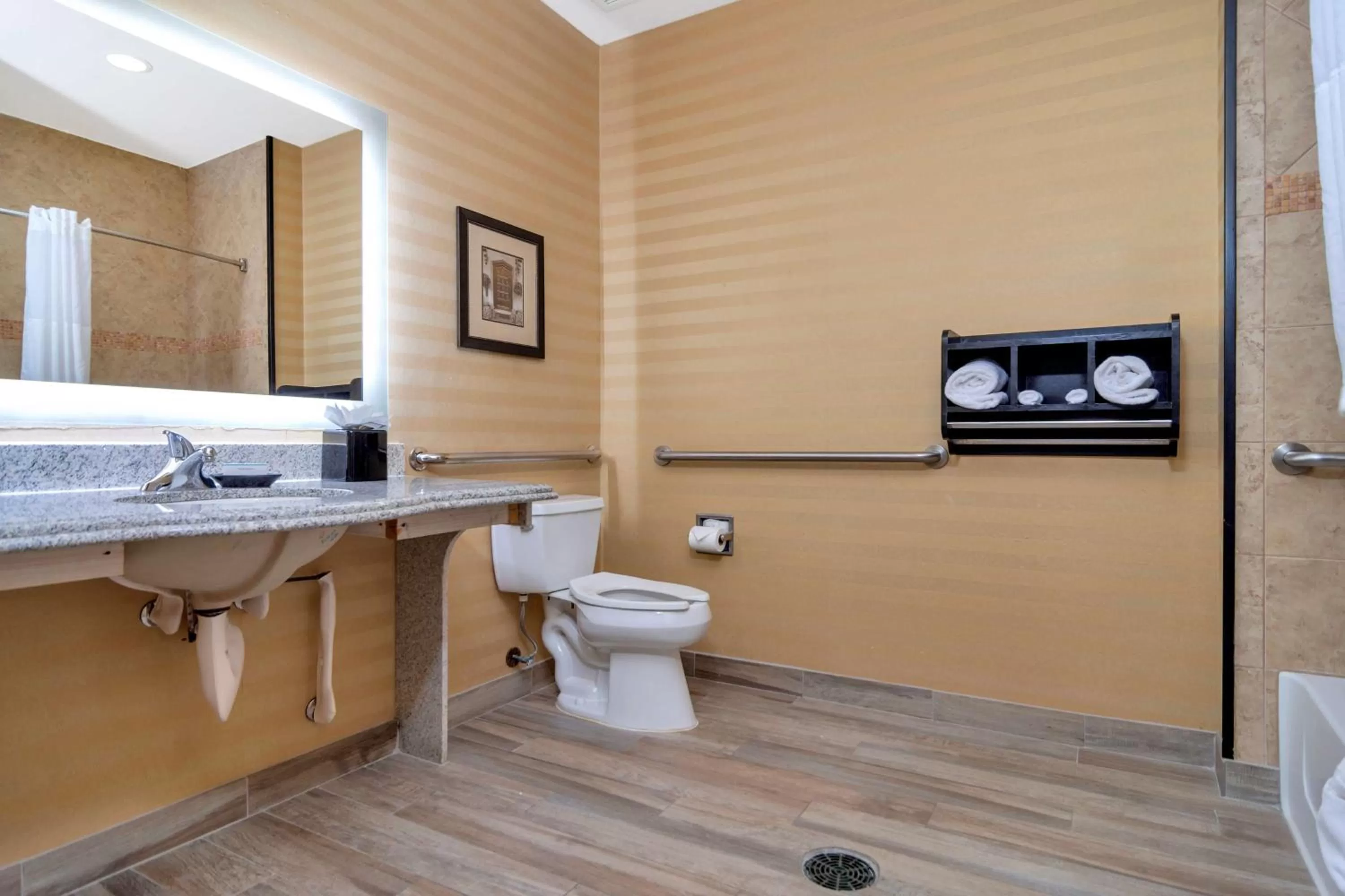 Bathroom in Hampton Inn & Suites Fort Worth-Fossil Creek