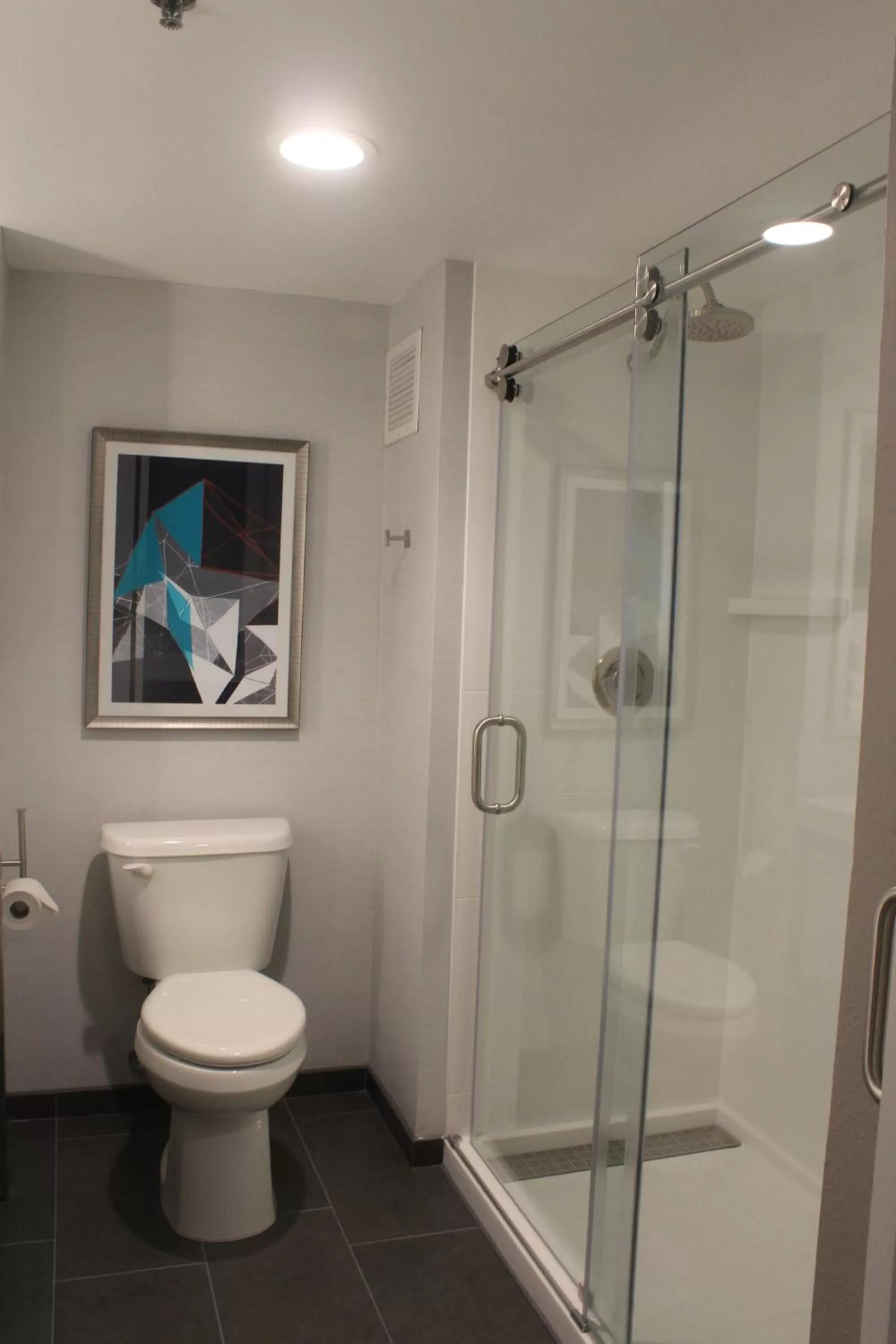 Photo of the whole room in Hotel Indigo Harrisburg - Hershey by IHG