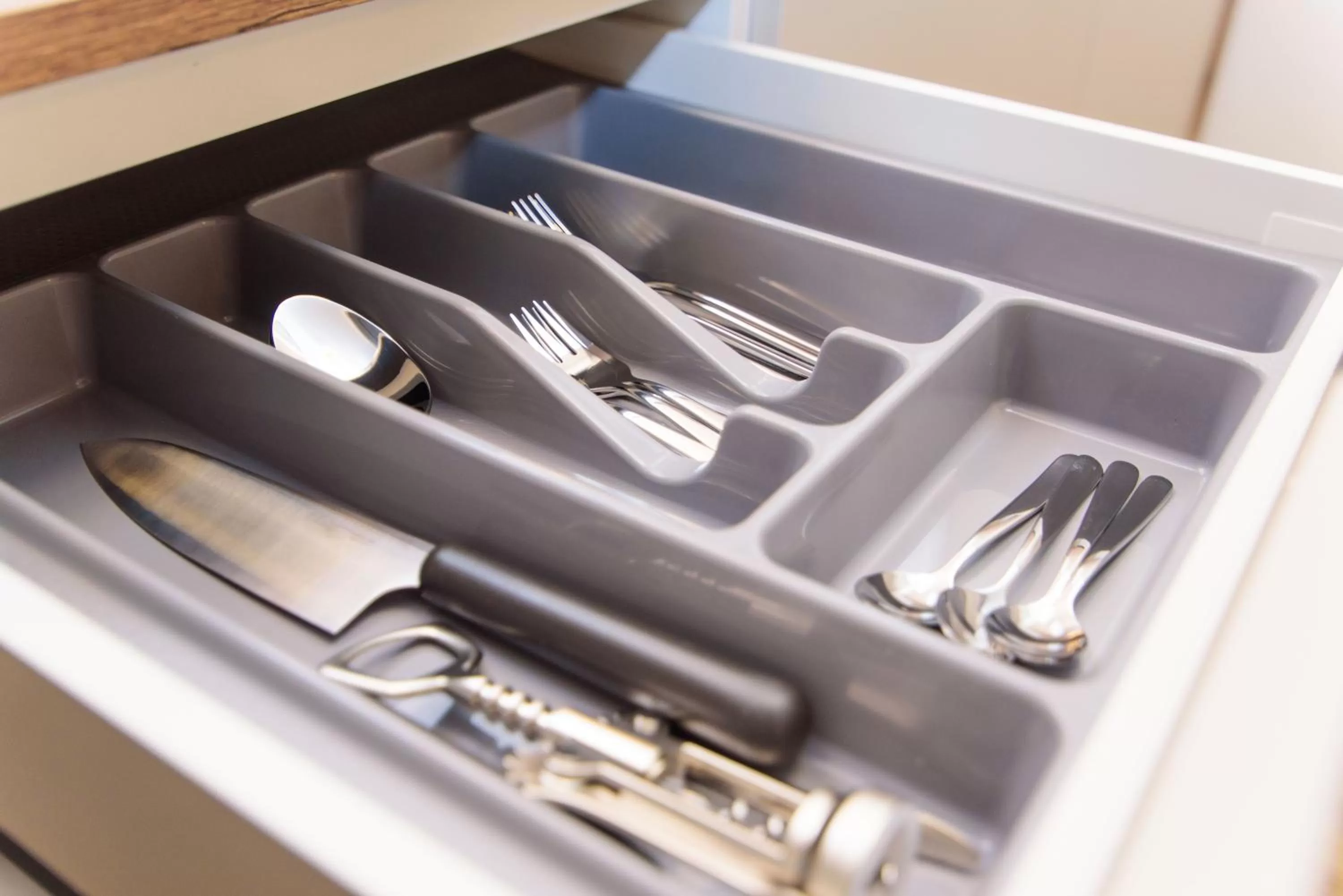 Kitchen or kitchenette in Hotel TwentyFour Living