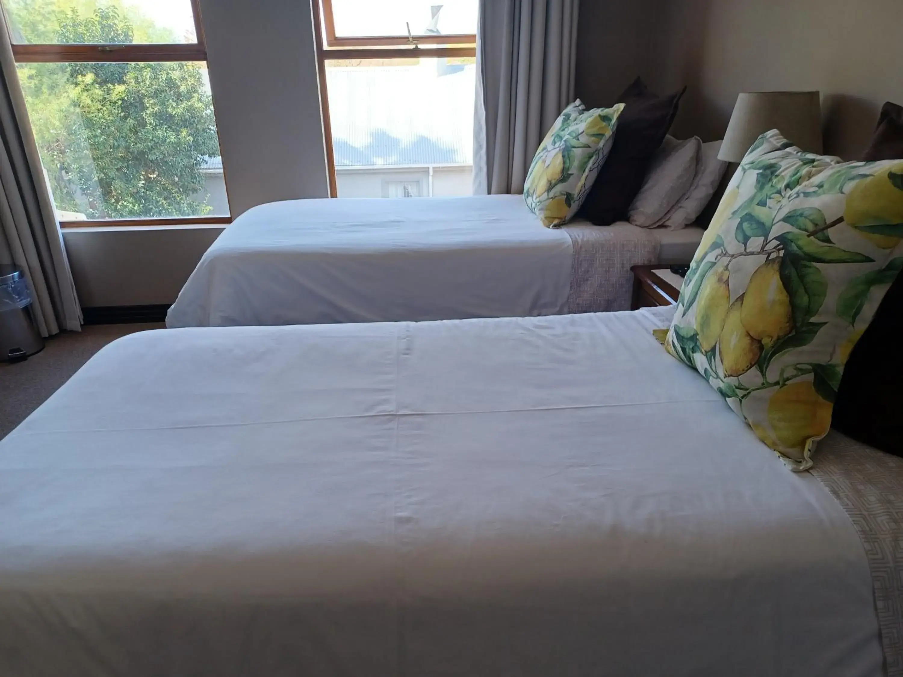 Standard Twin Room in Karoo Sun Boutique Guest House Standard Twin Room in Karoo Sun Boutique Guest House