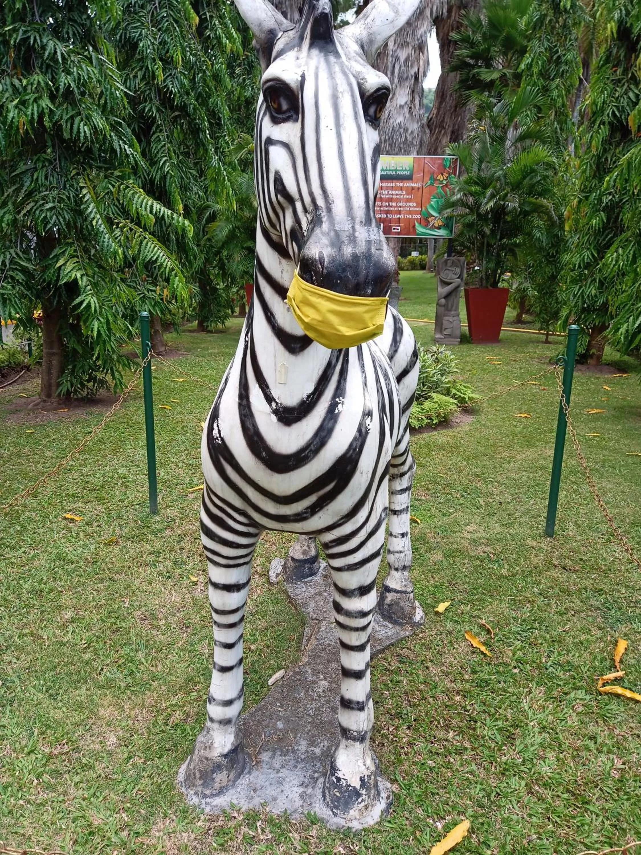 Other Animals in Barbican bed and breakfast at dillsbury