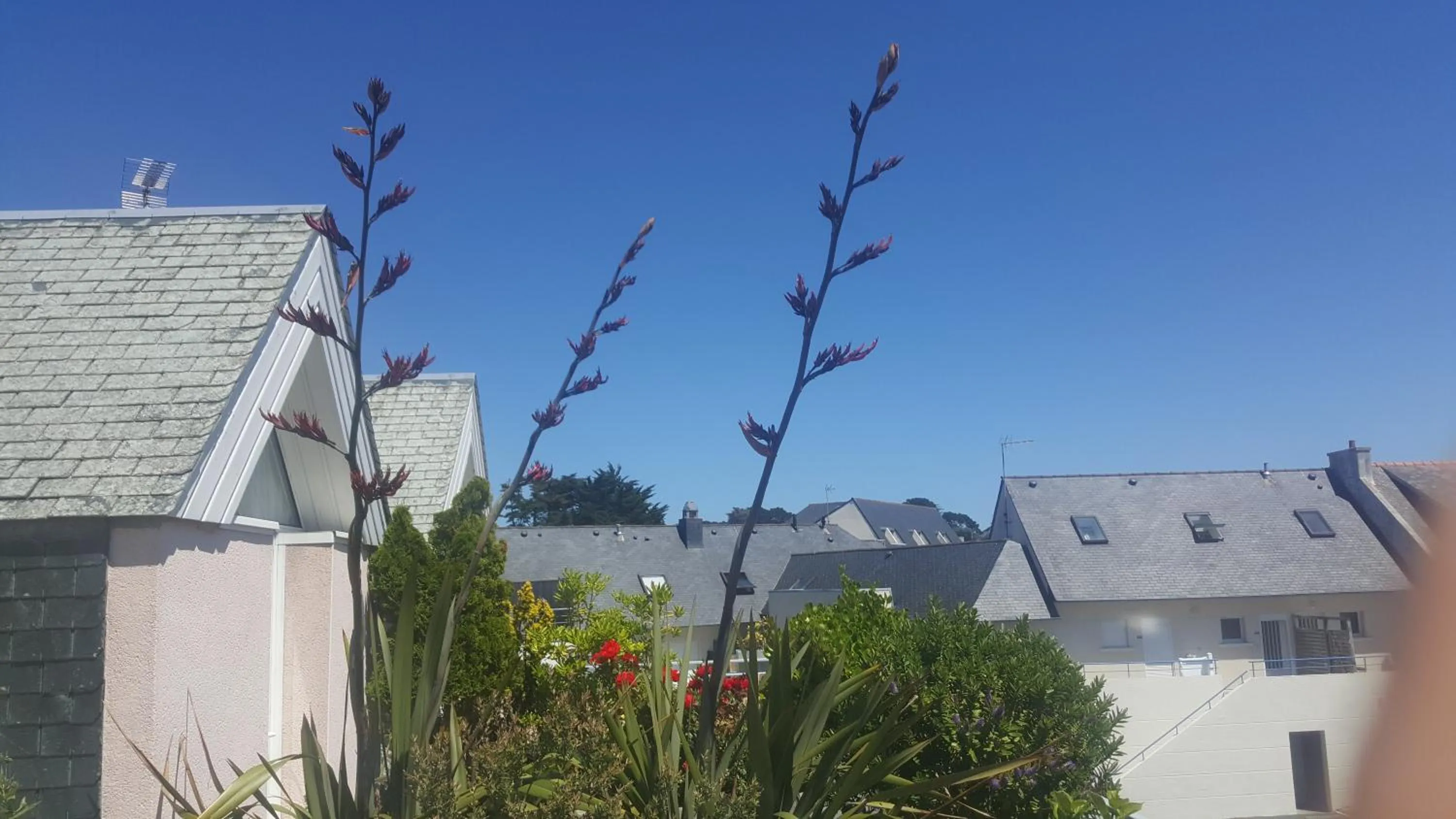 City view in Hotel De L'Europe