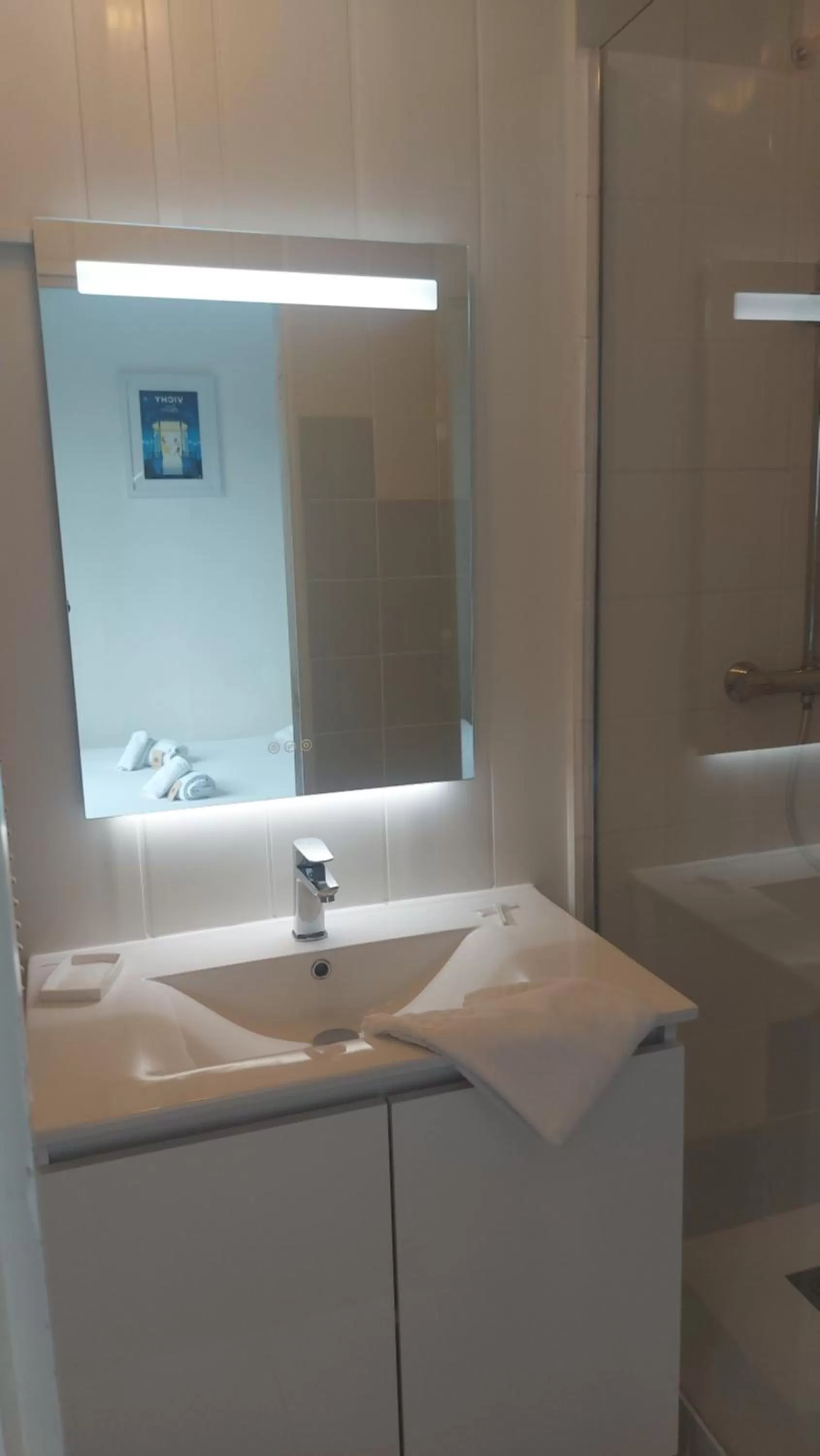 Shower, Bathroom in Hôtel & Restaurant Le Patio VICHY