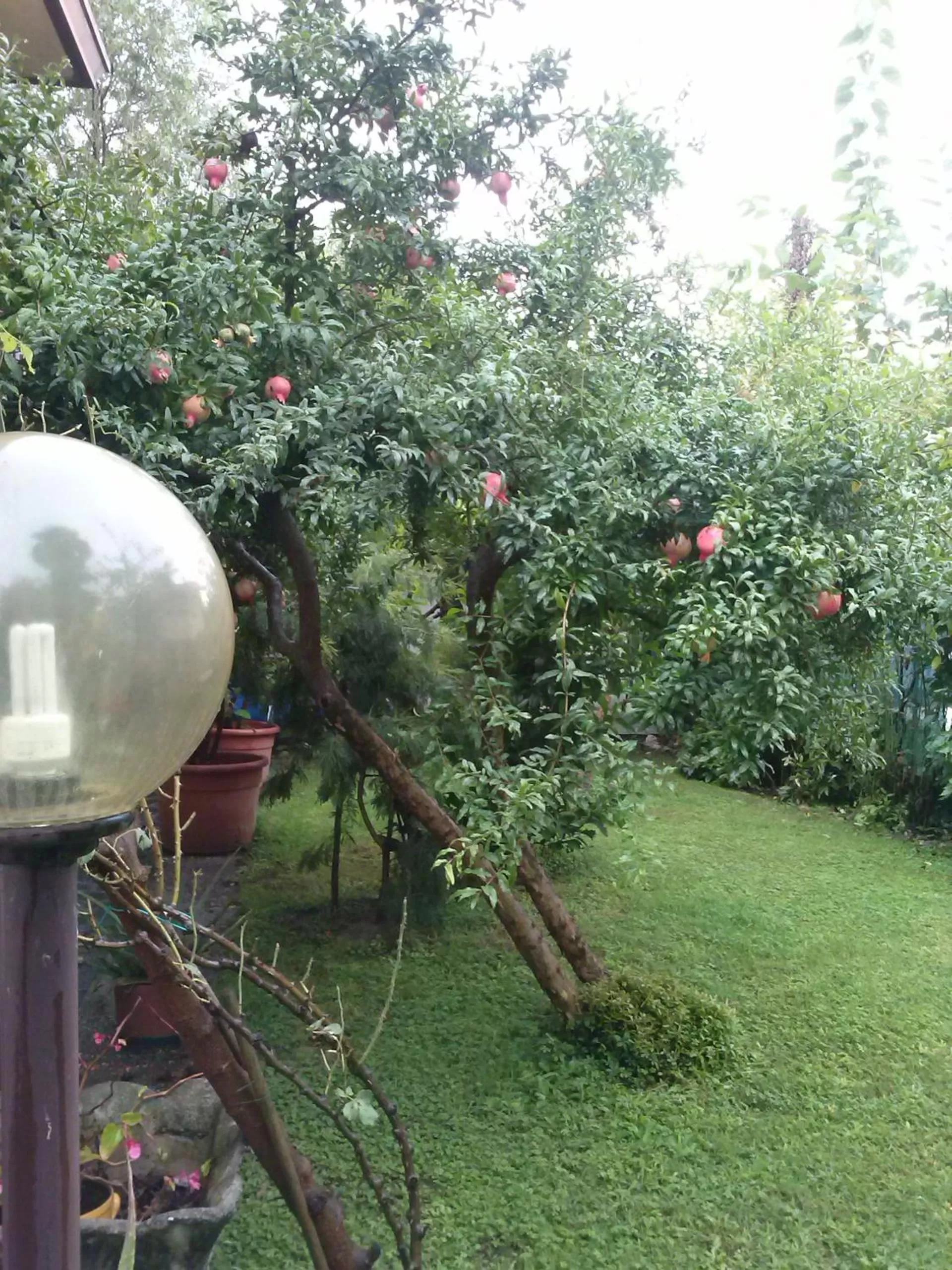 Garden in Casa Irene