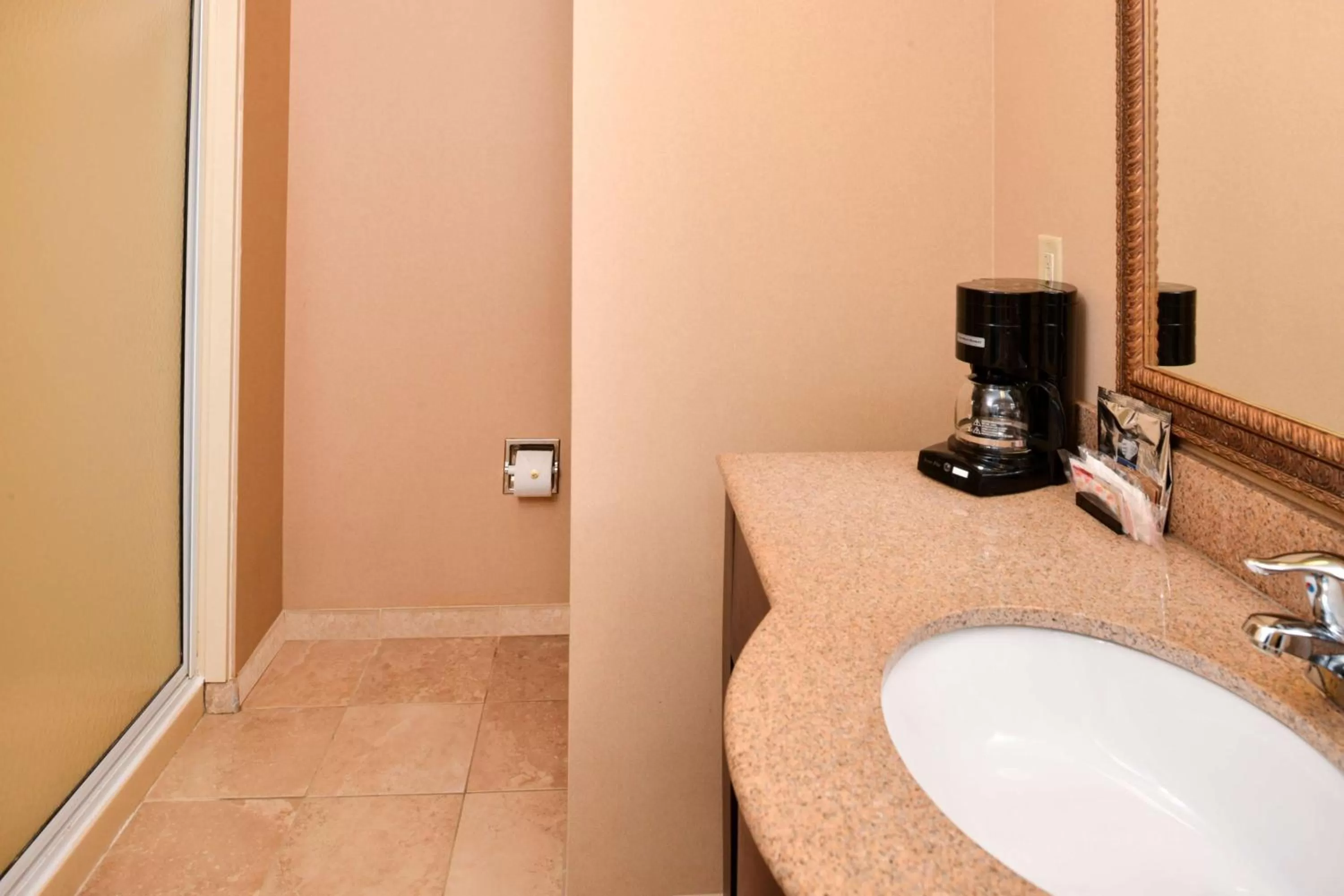 Bathroom in Hampton Inn by Hilton Litchfield