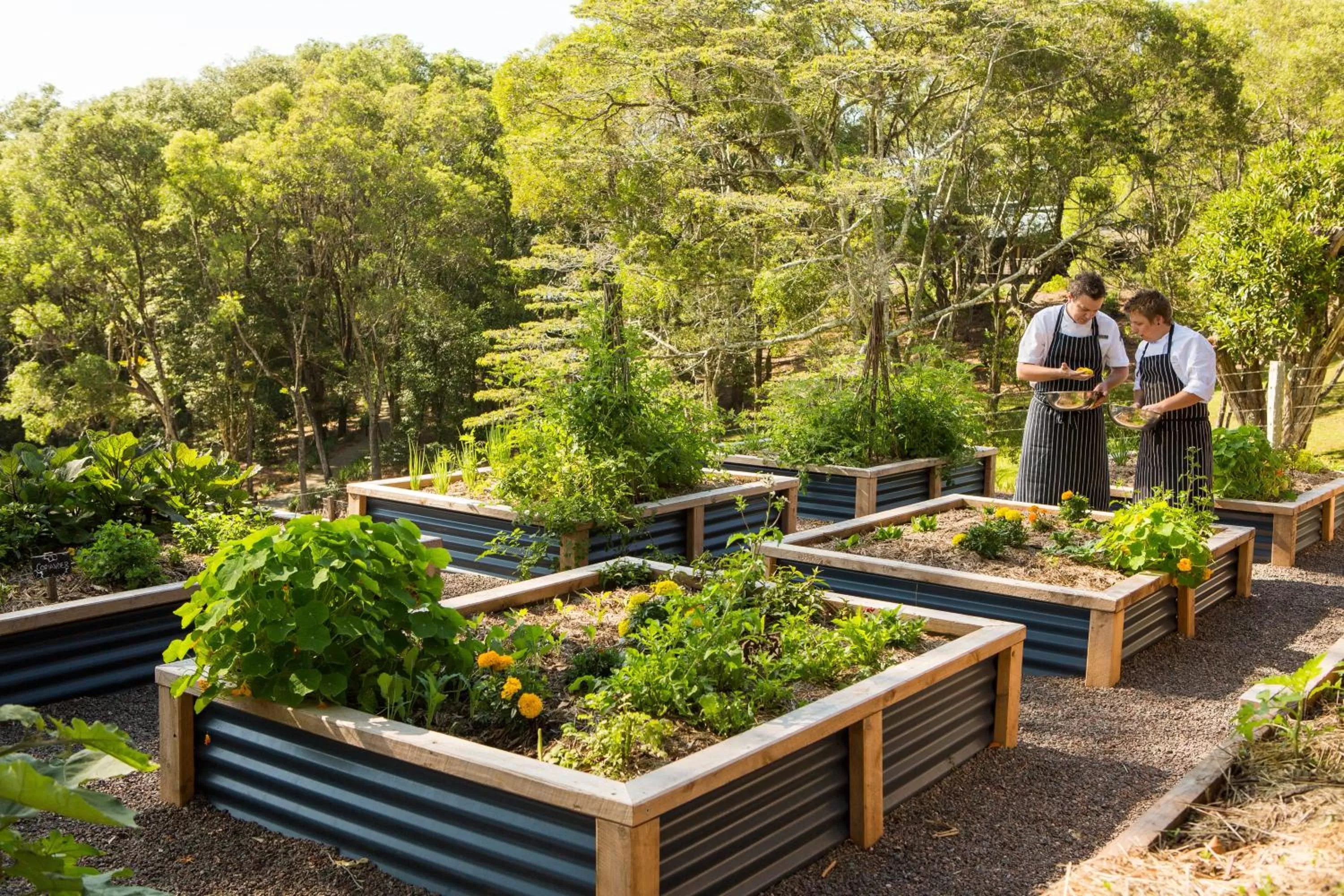 Garden in Spicers Tamarind Retreat