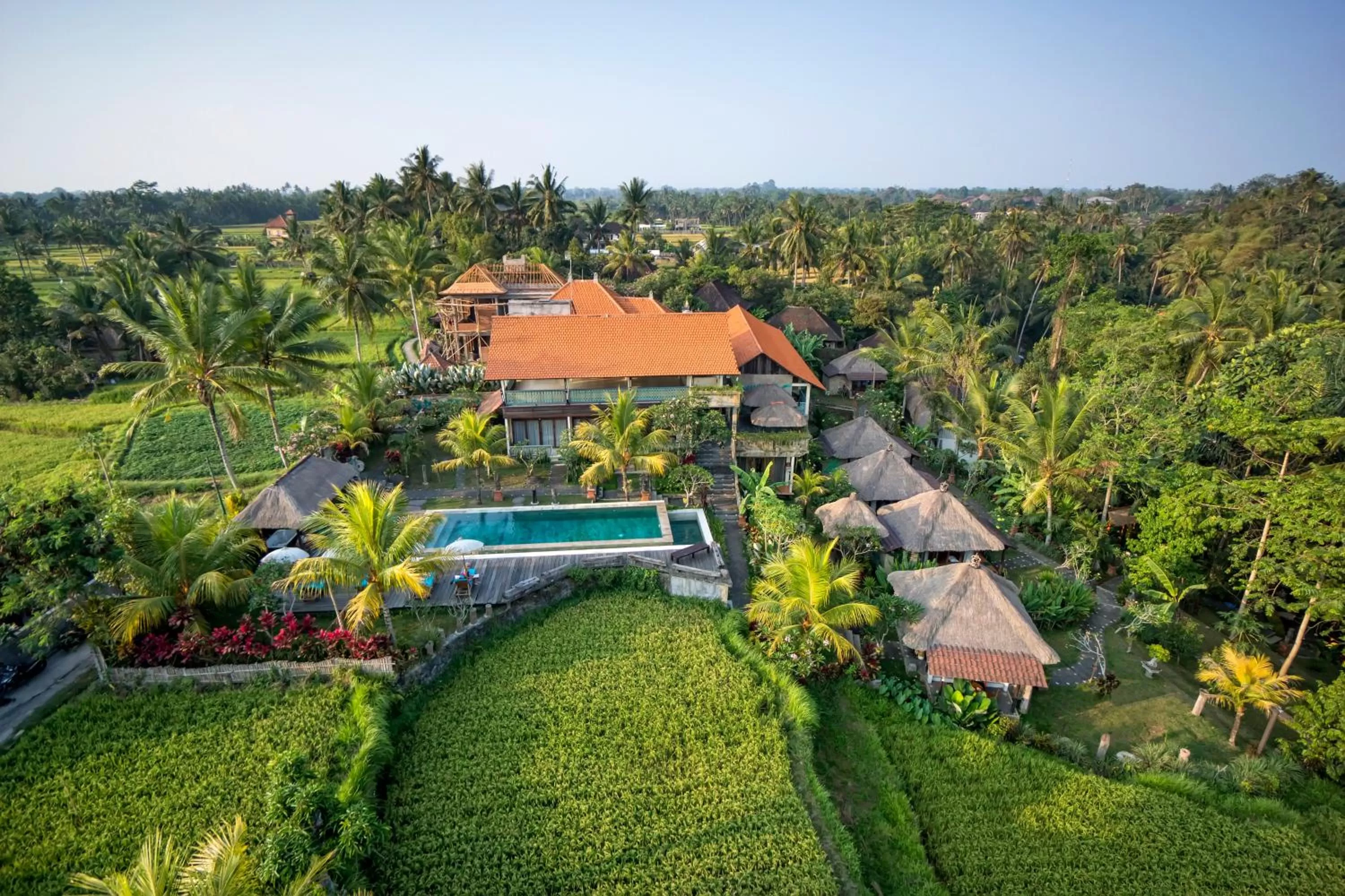 Day in Ubud Sari Health Resort