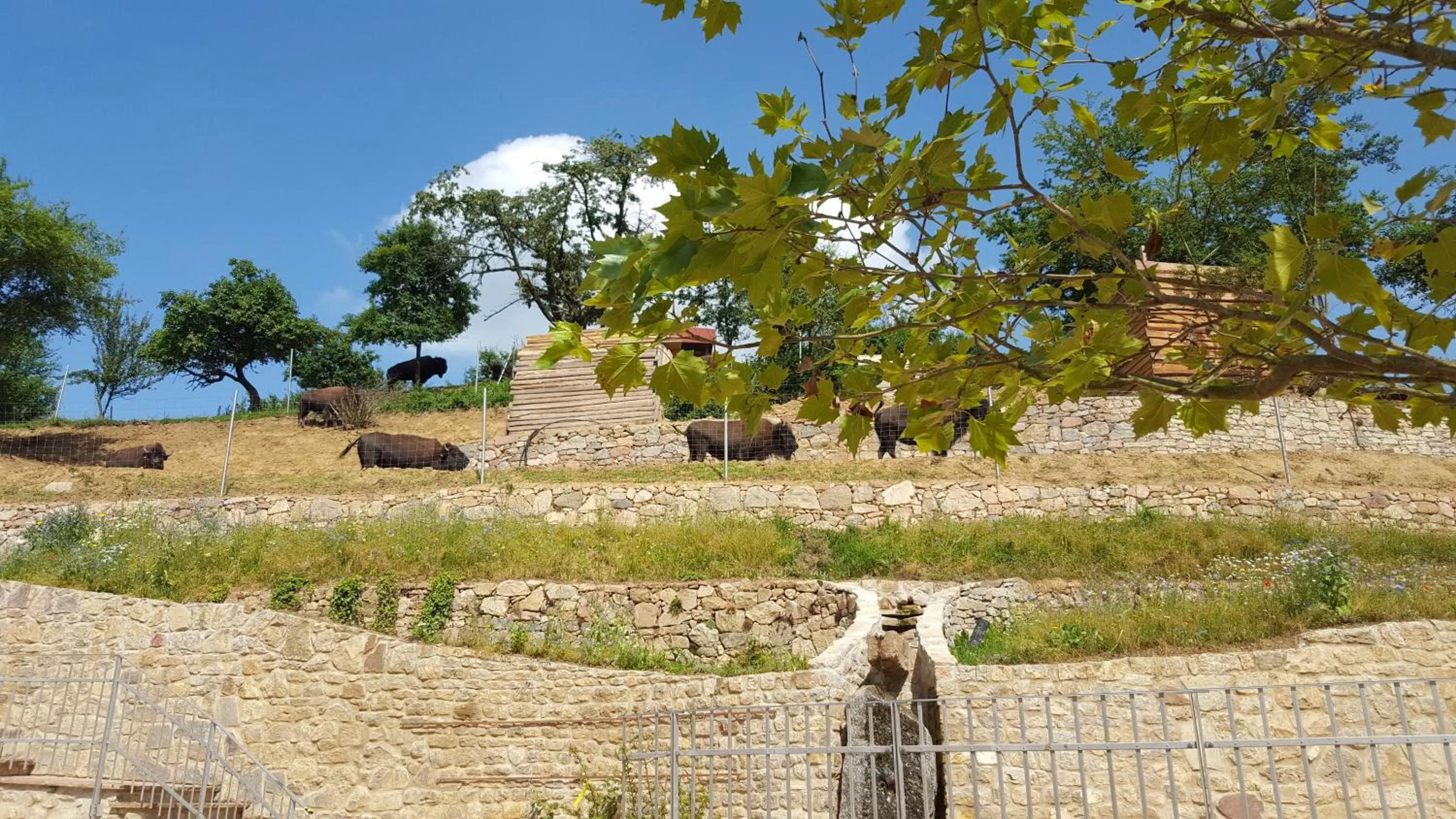 View (from property/room) in Landhotel Lammershof