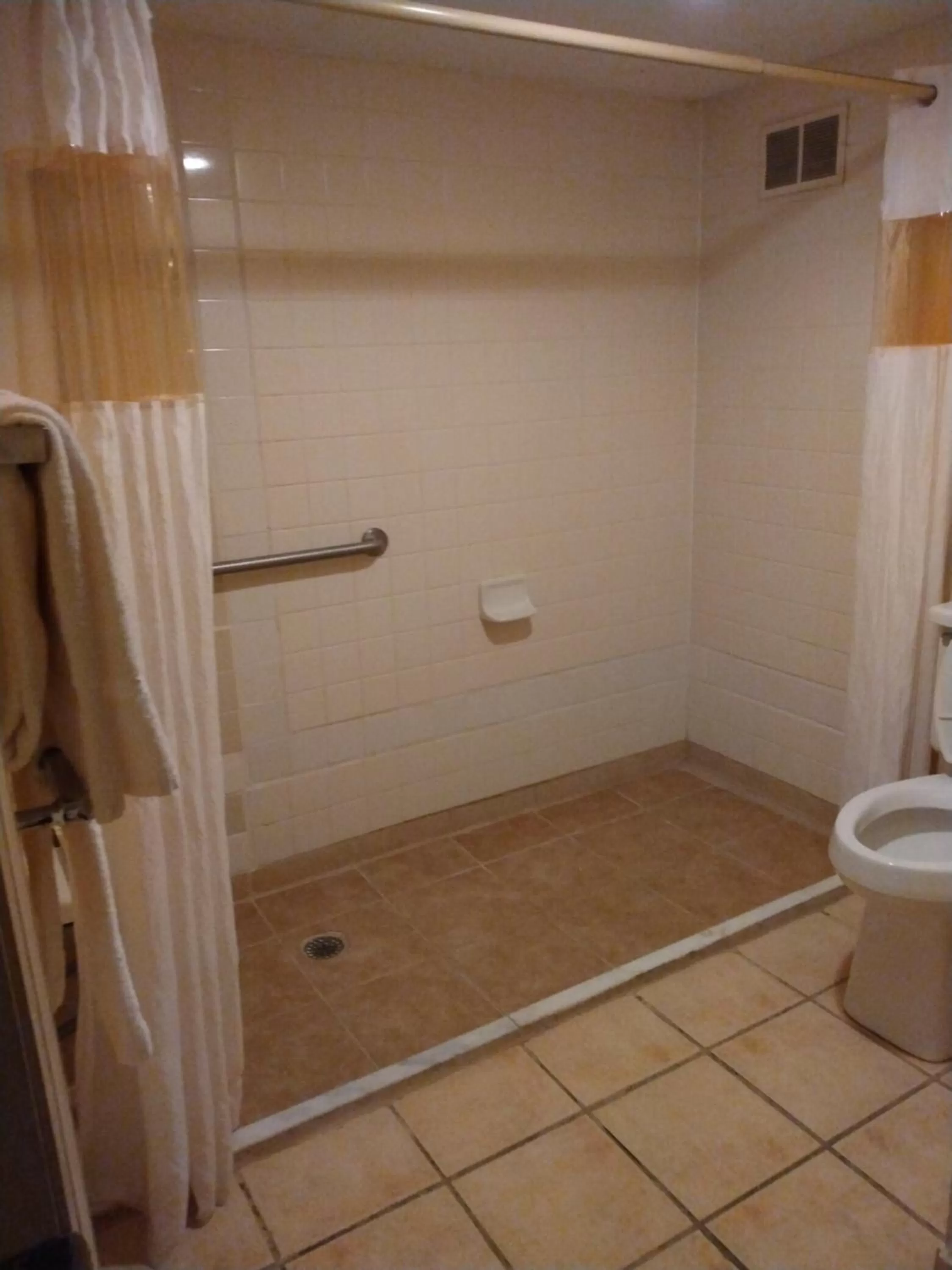 Bathroom in Rodeway Inn Cleveland TN I-75