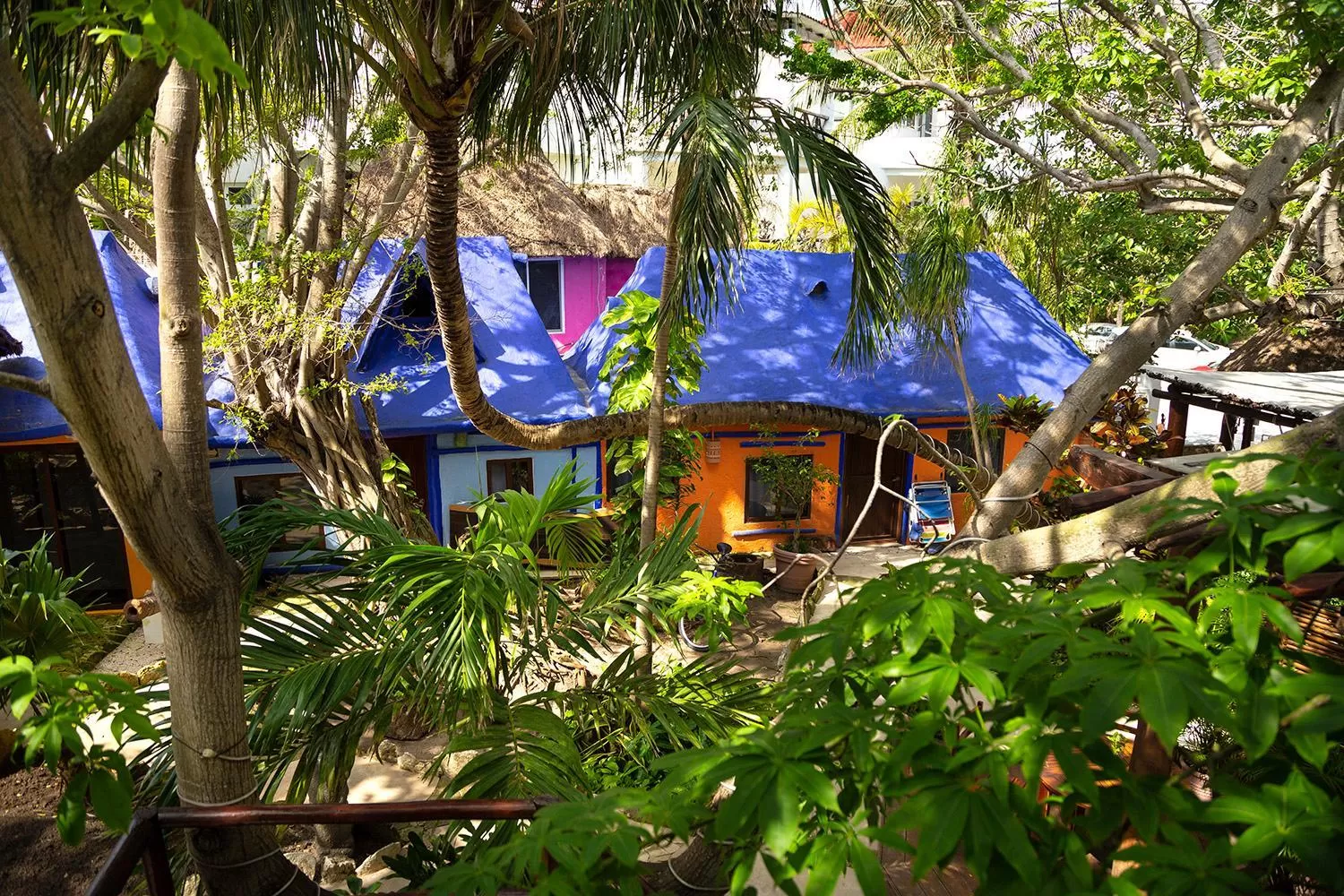 Garden in Hotel Amar Inn