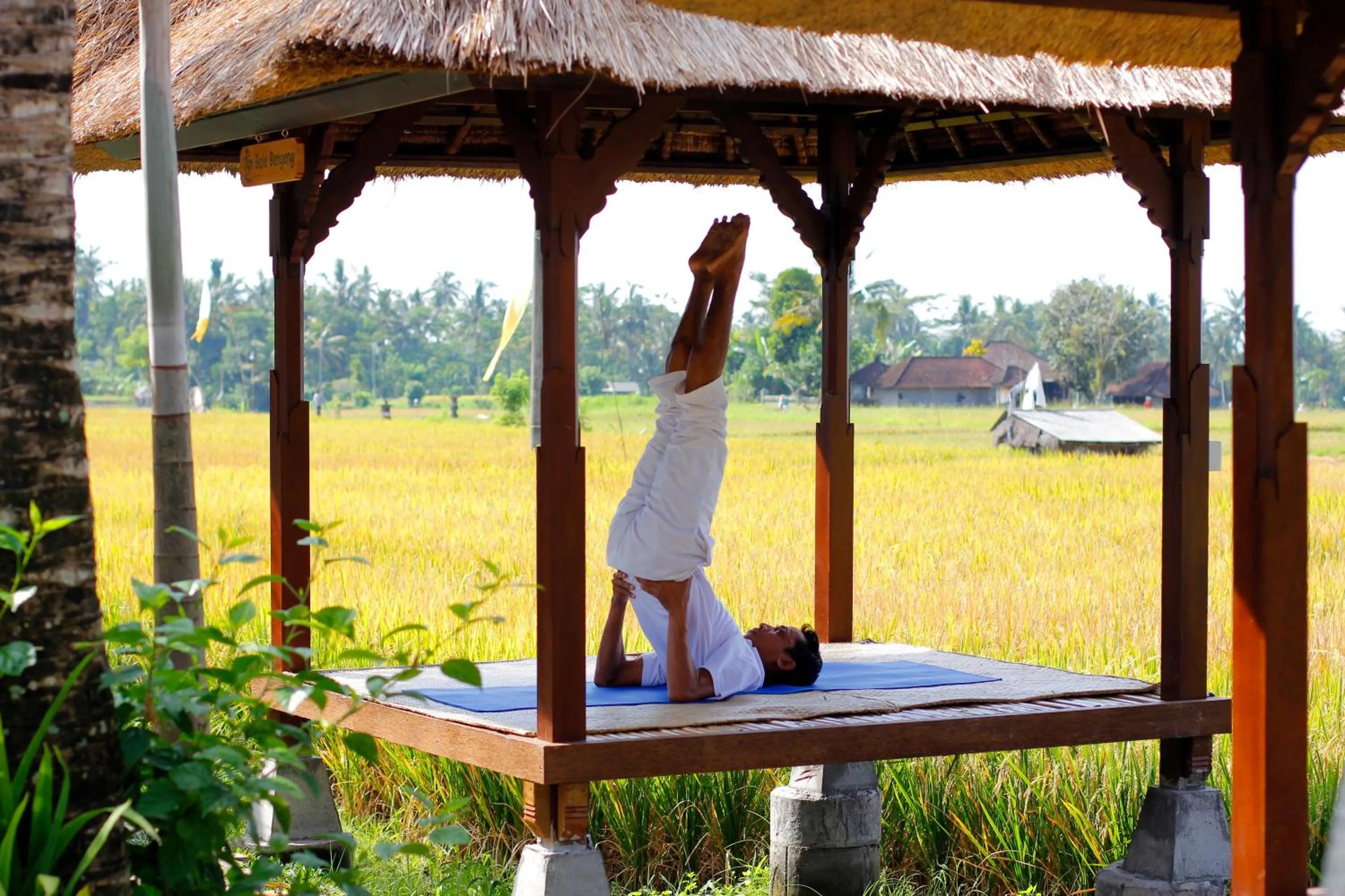 Spa and wellness centre/facilities in Alam Puisi Villa Ubud