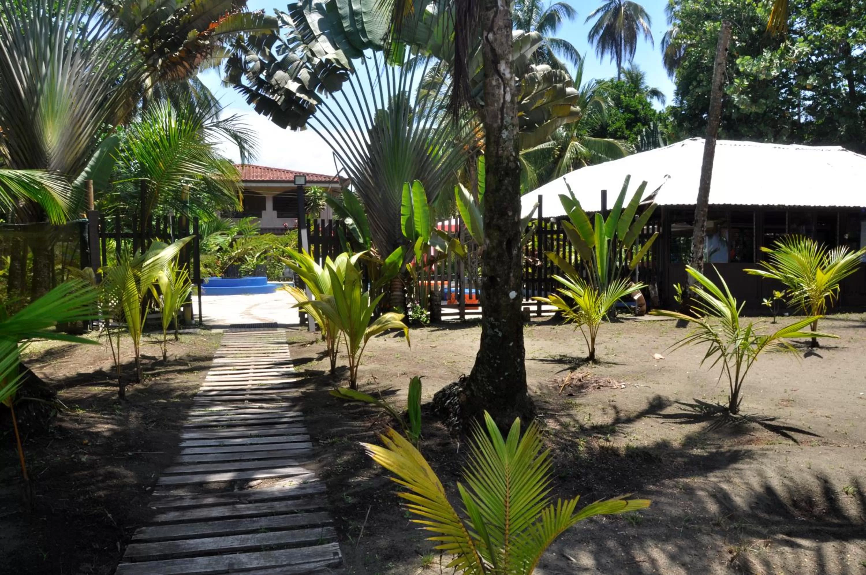 Restaurant/places to eat, Swimming Pool in Hotel Playa Westfalia